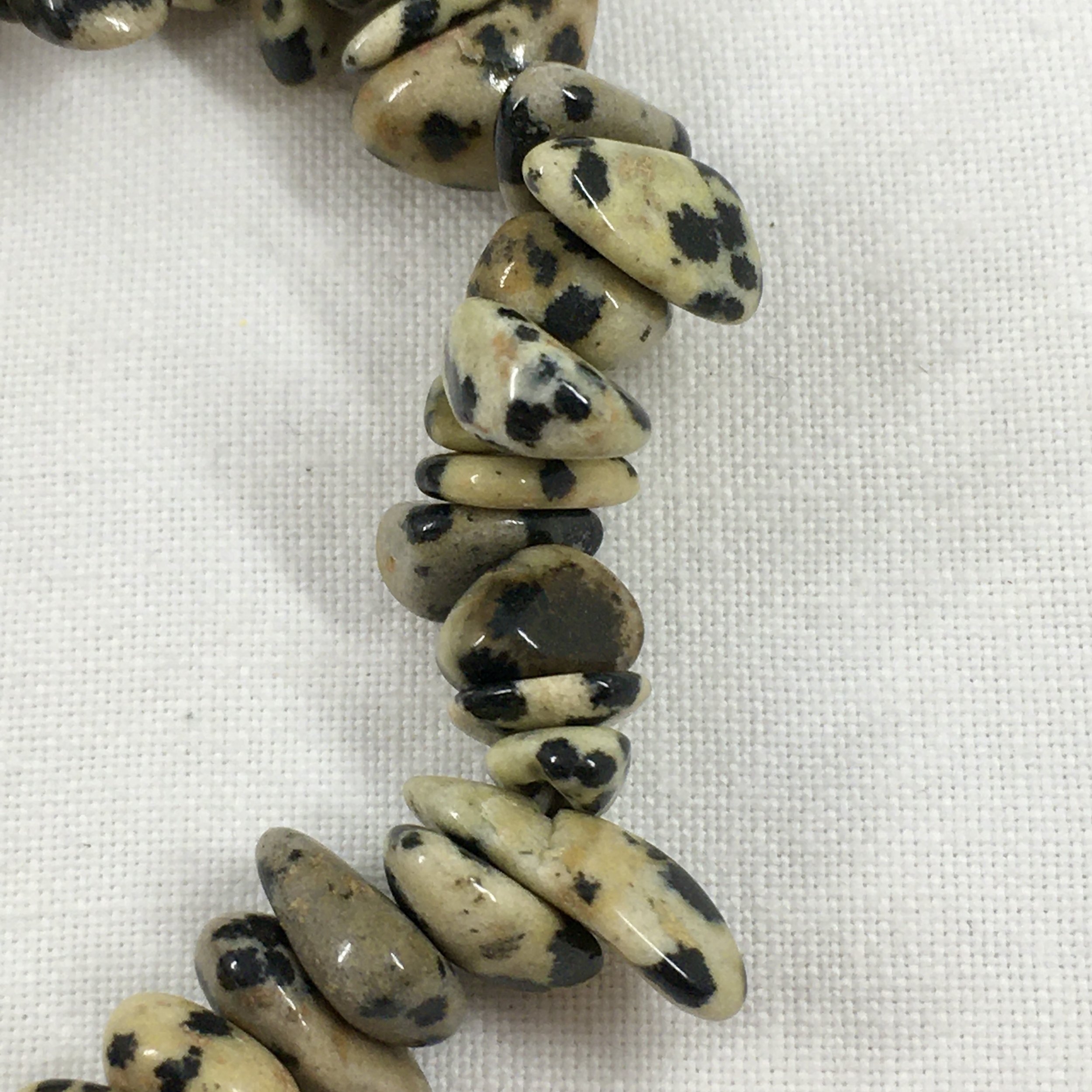 Dalmation gemchip b.jpeg