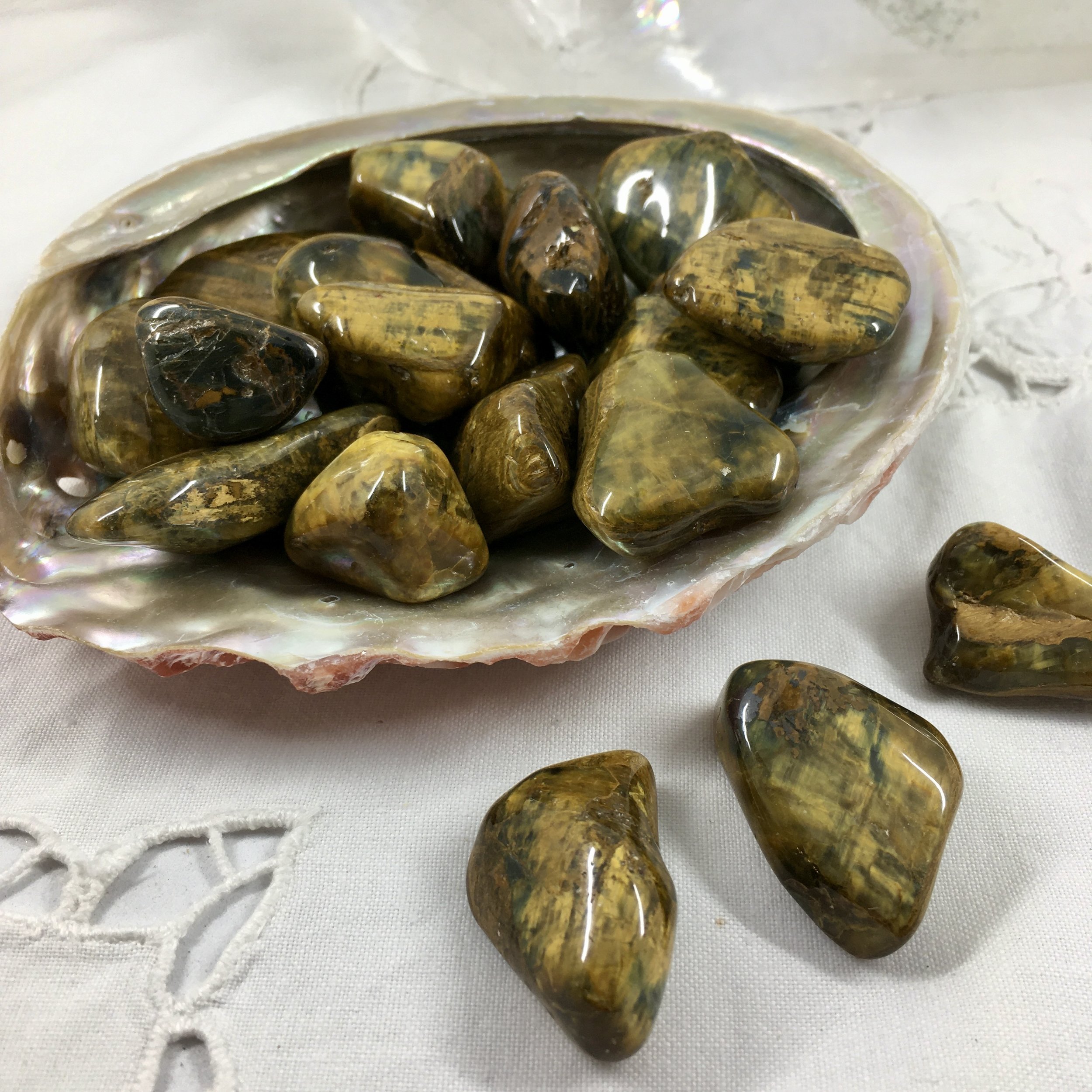 Lionskin Jasper ts c.jpeg