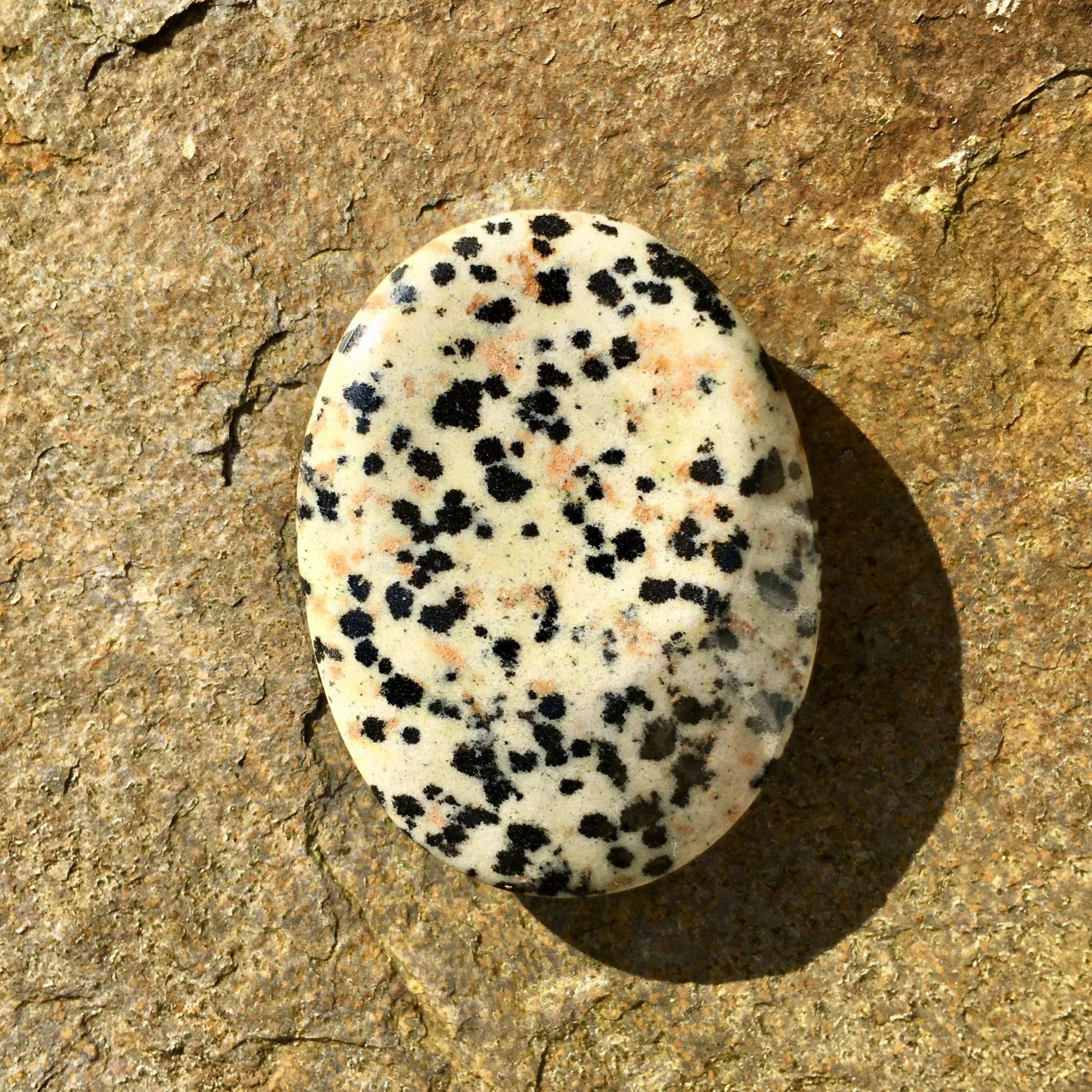 Dalmation+Jasper+Thumbstone.jpg