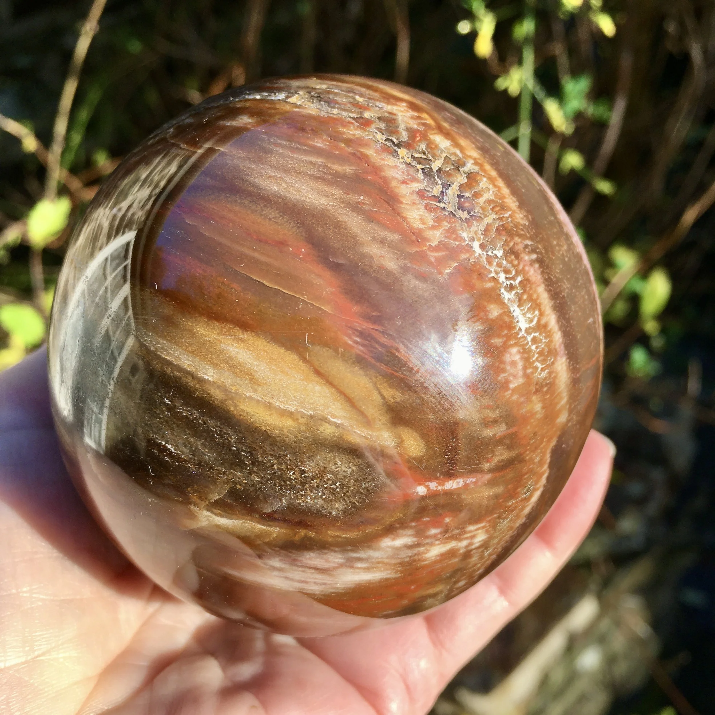 Petrified wood sphere 1d.jpeg