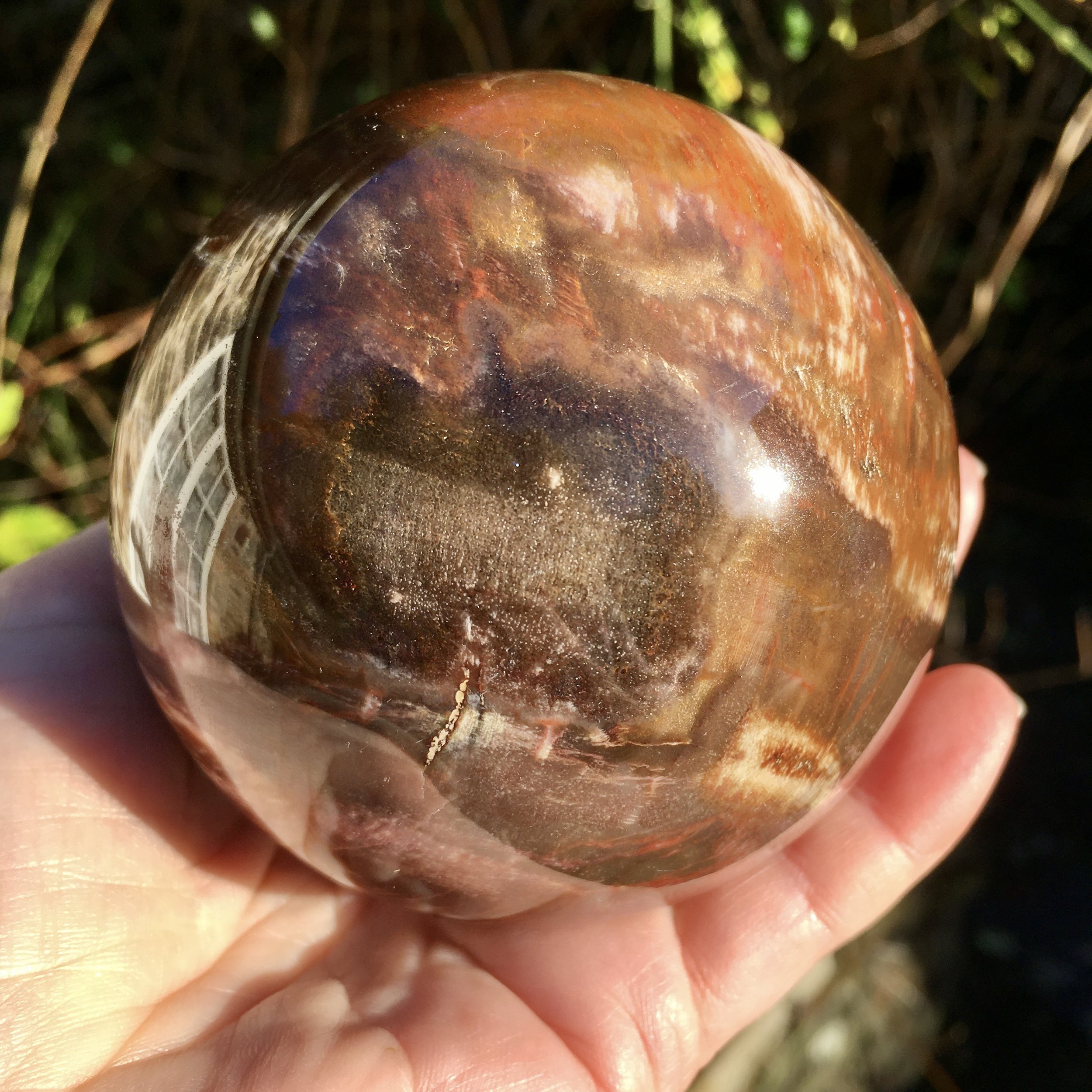 Petrified wood sphere 1e.jpeg
