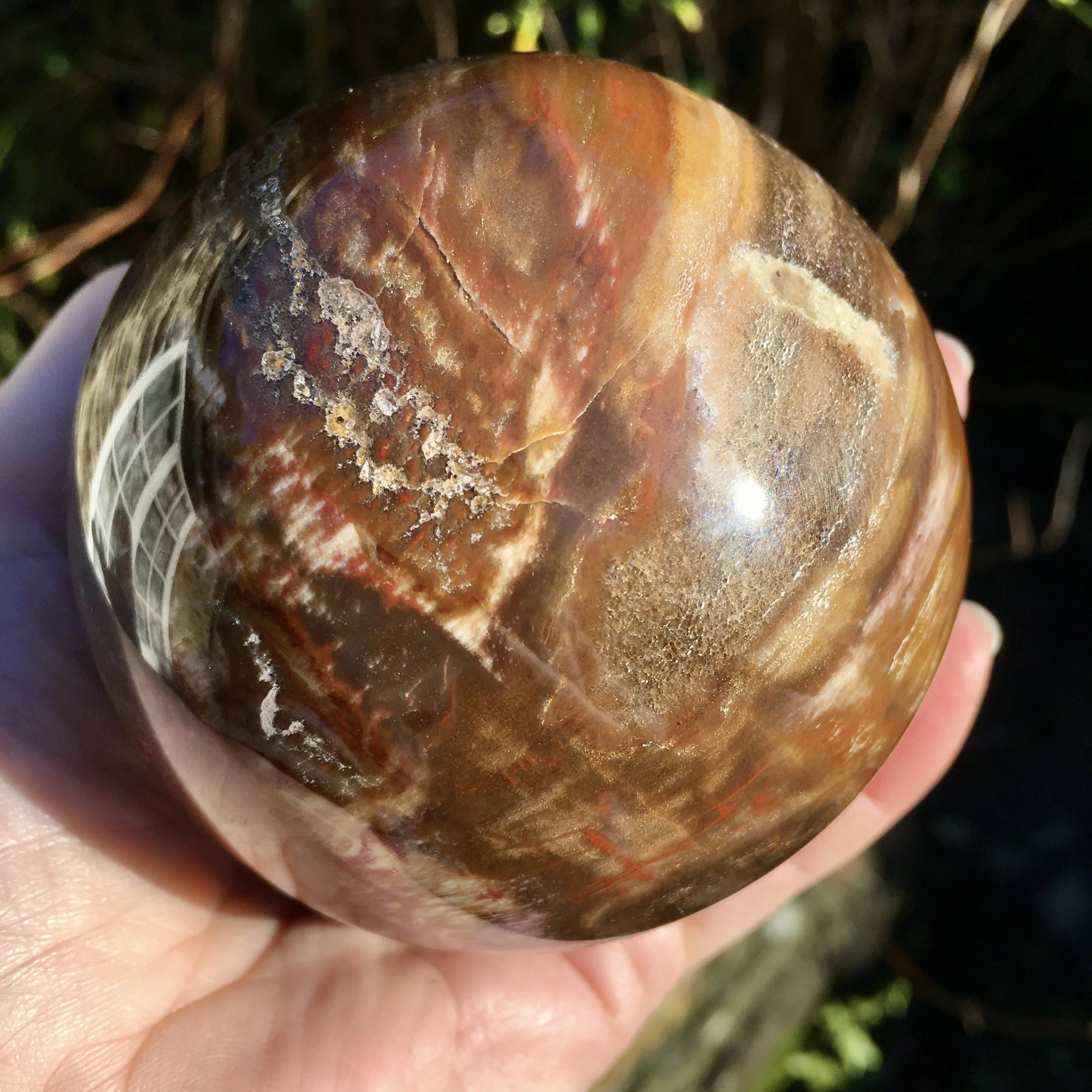 Petrified wood sphere 1g.jpeg