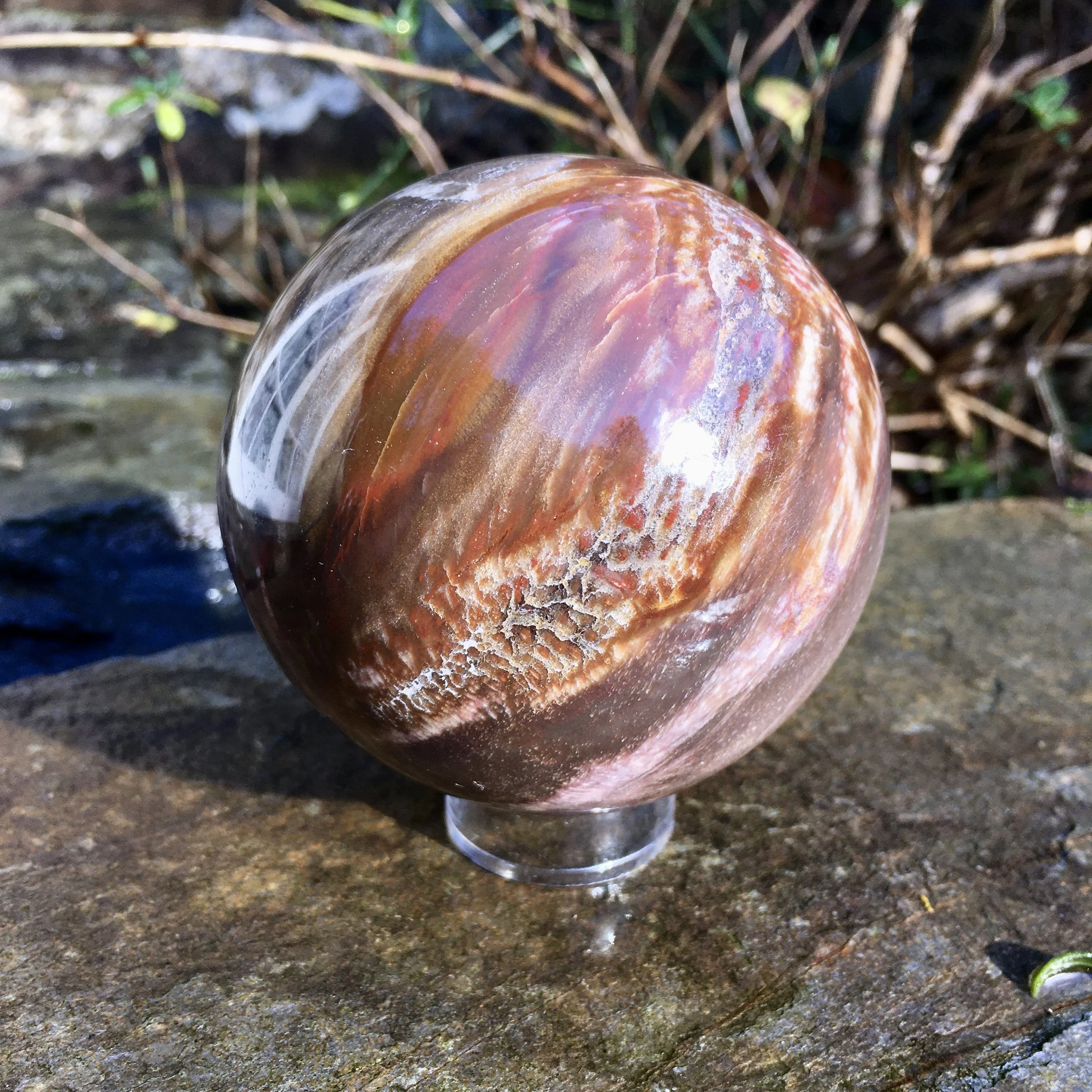 Petrified wood sphere 1c.jpeg