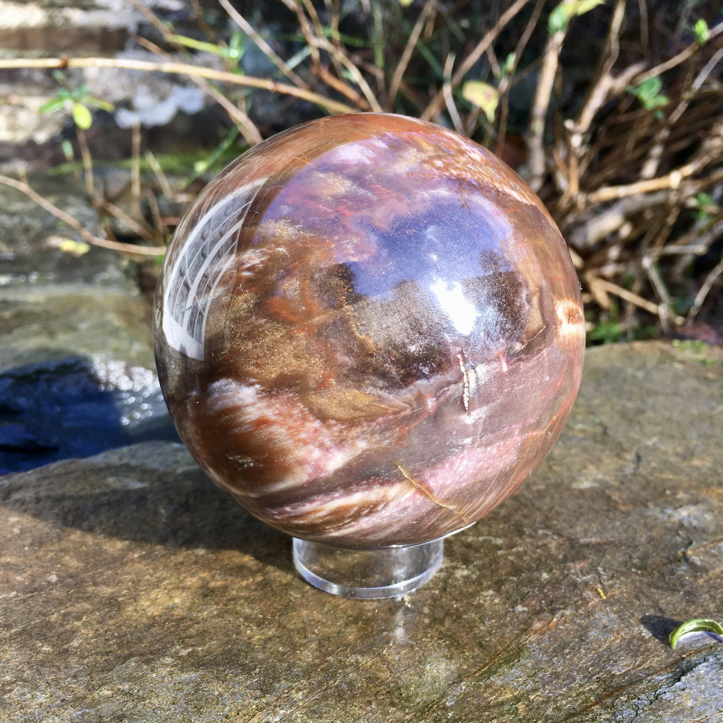 Petrified wood sphere 1b.jpeg