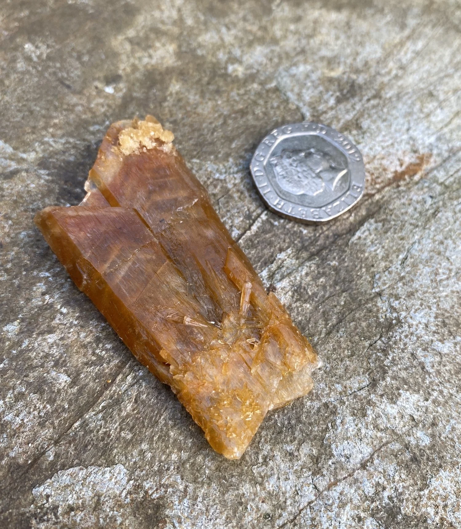 Golden Selenite a.jpeg