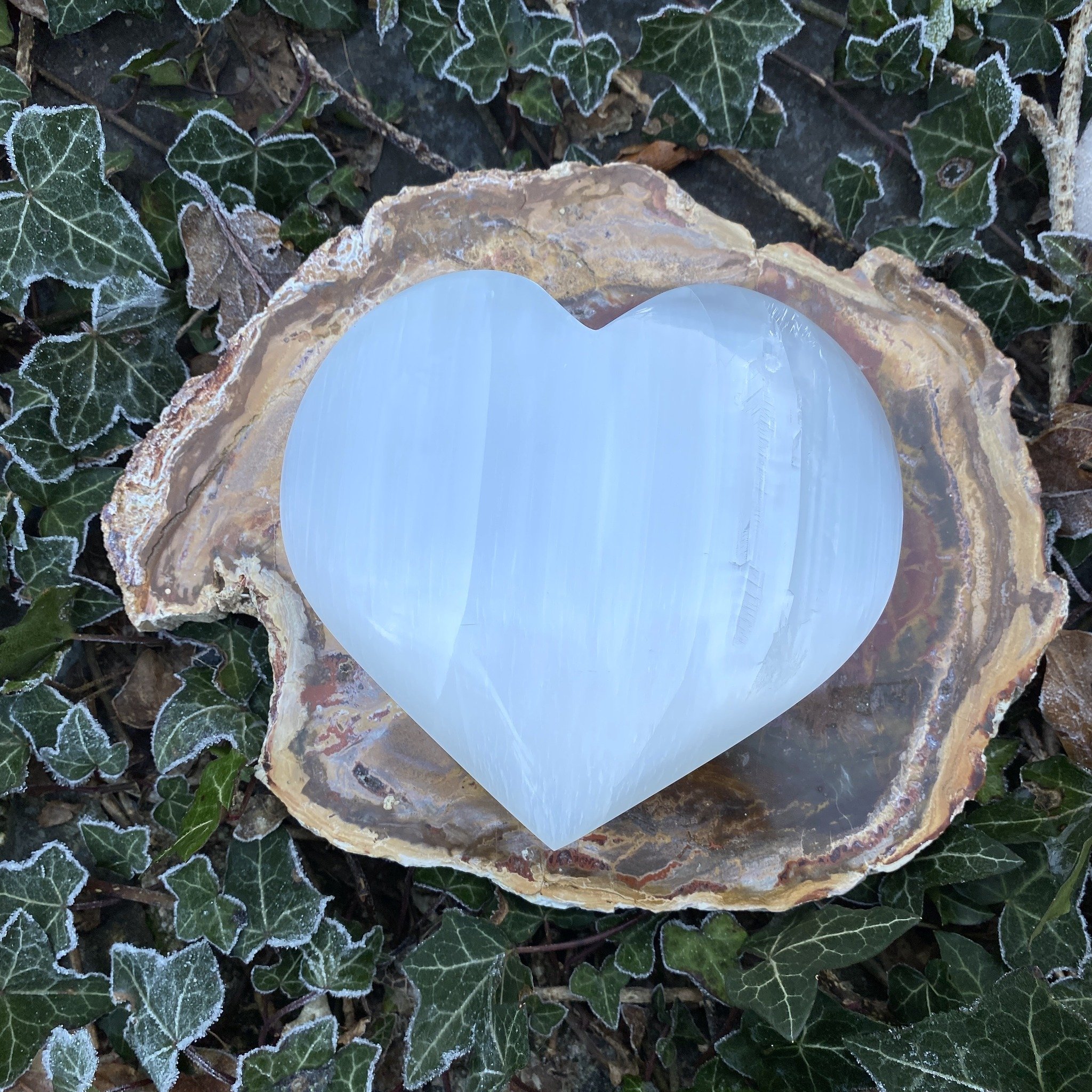 Selenite heart 5inch.jpeg