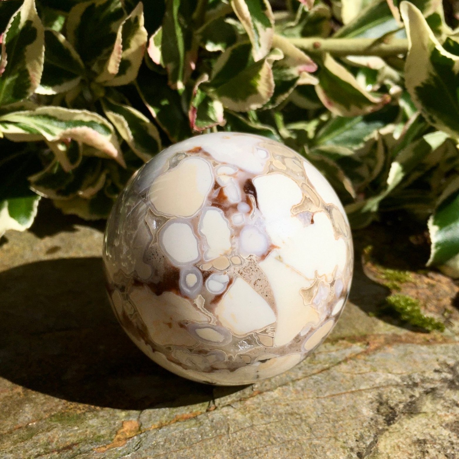 Cobra+Jasper+sphere+1b.jpg