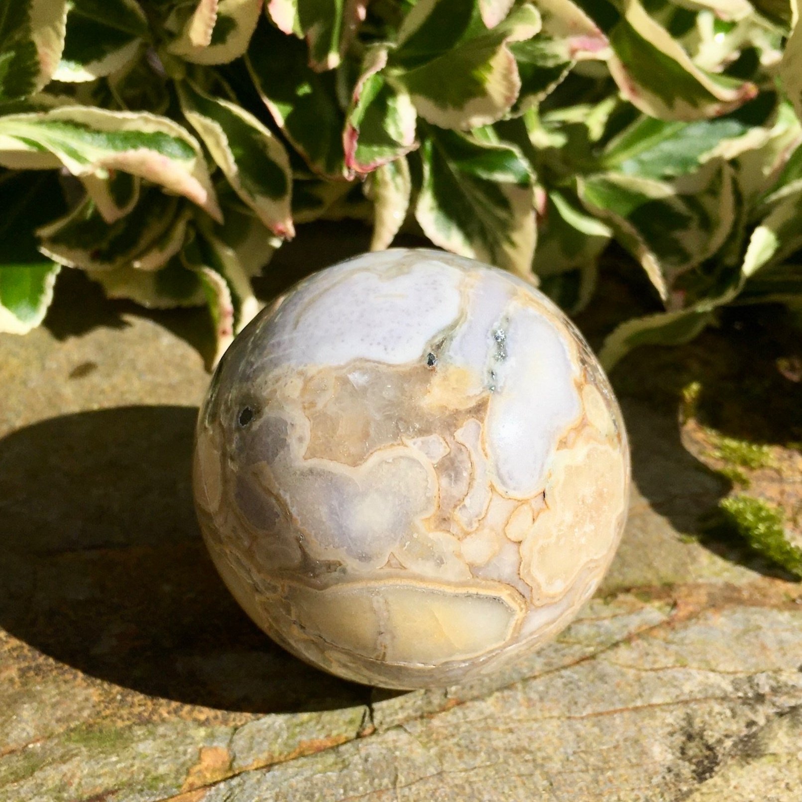 Cobra+Jasper+sphere+3a.jpg