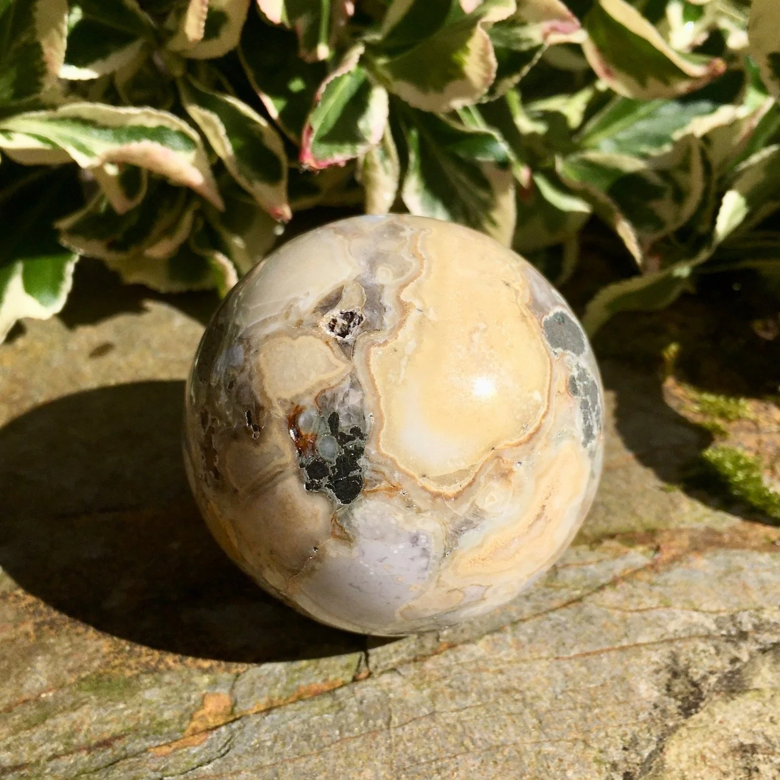 Cobra+Jasper+sphere+3b.jpg