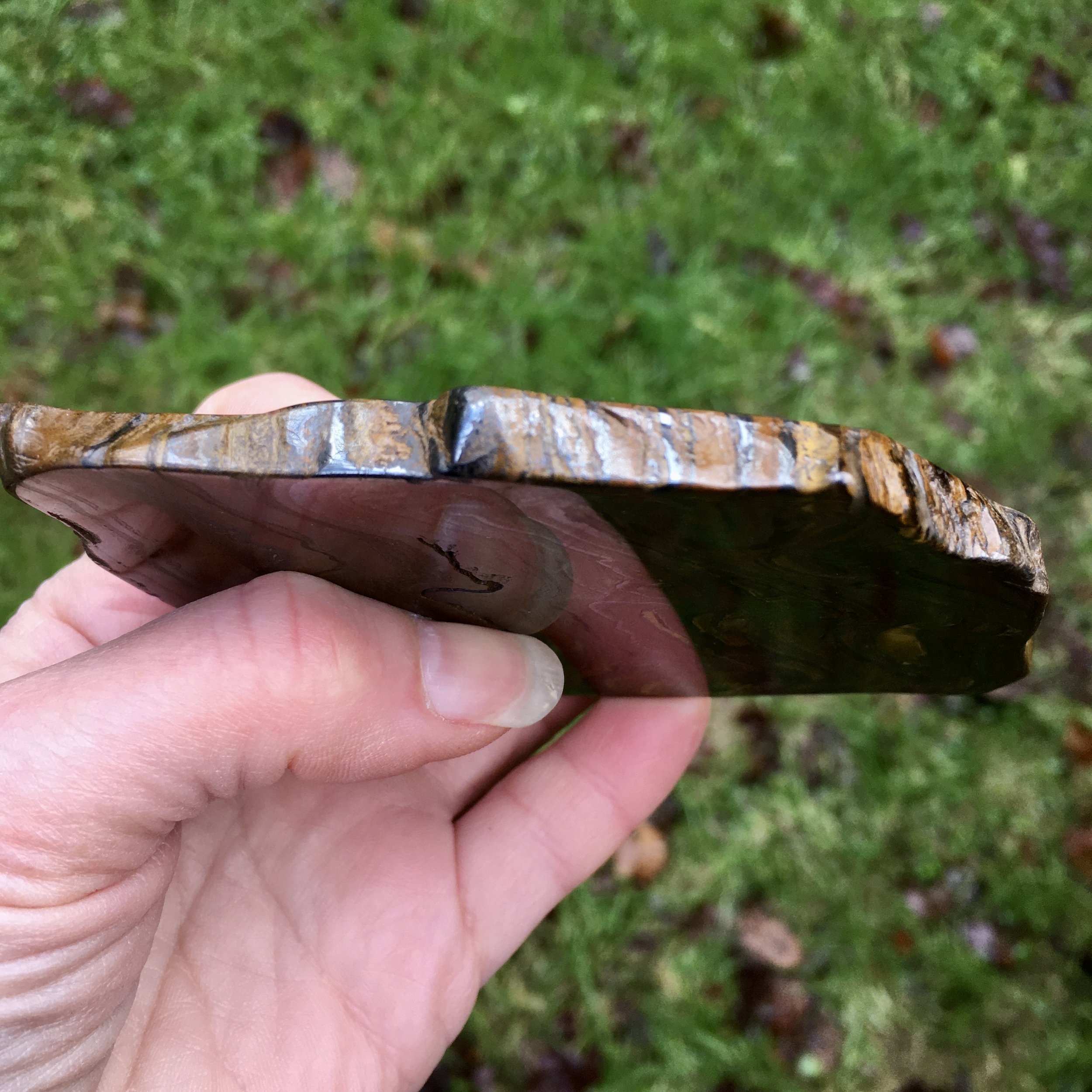 Tiger Iron slice 1f.jpeg