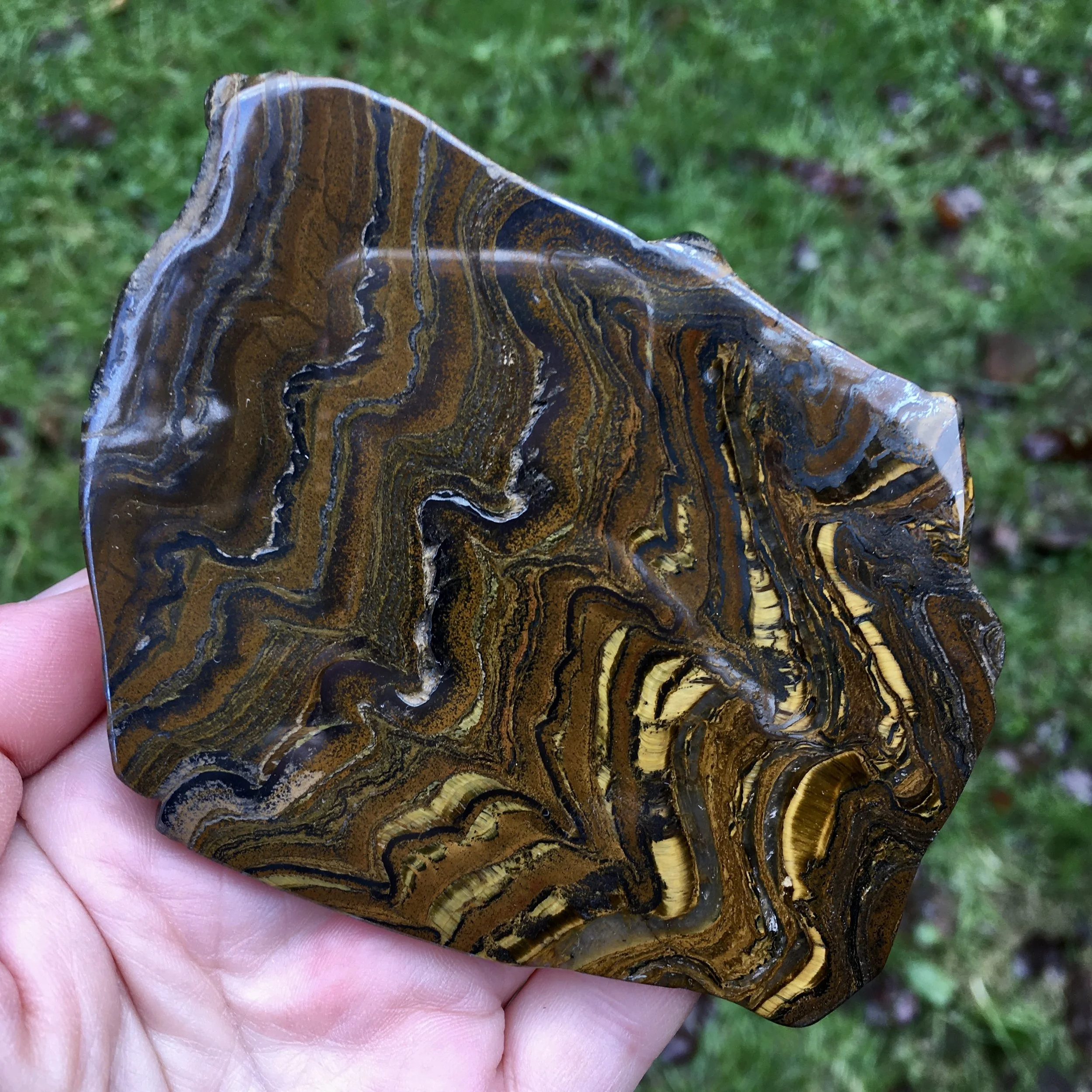 Tiger Iron slice 1d.jpeg