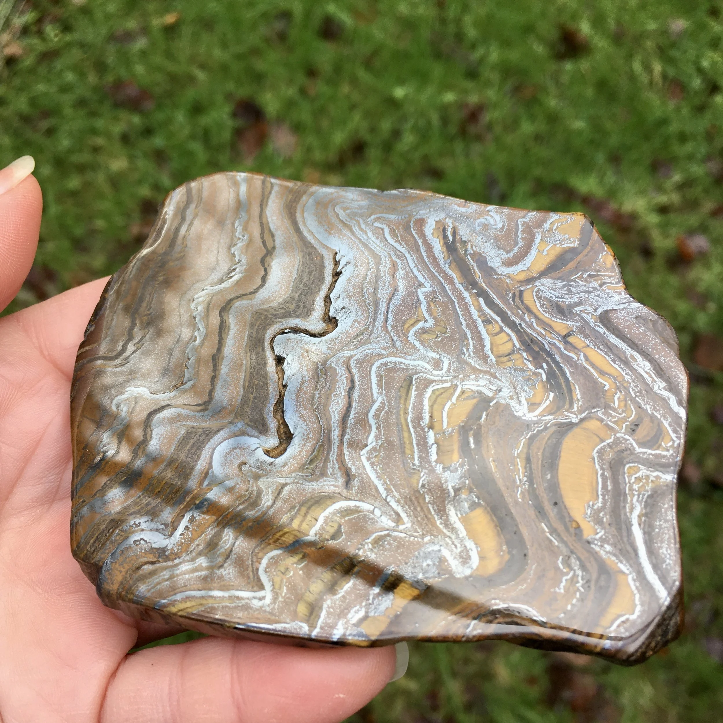 Tiger Iron slice 1g.jpeg