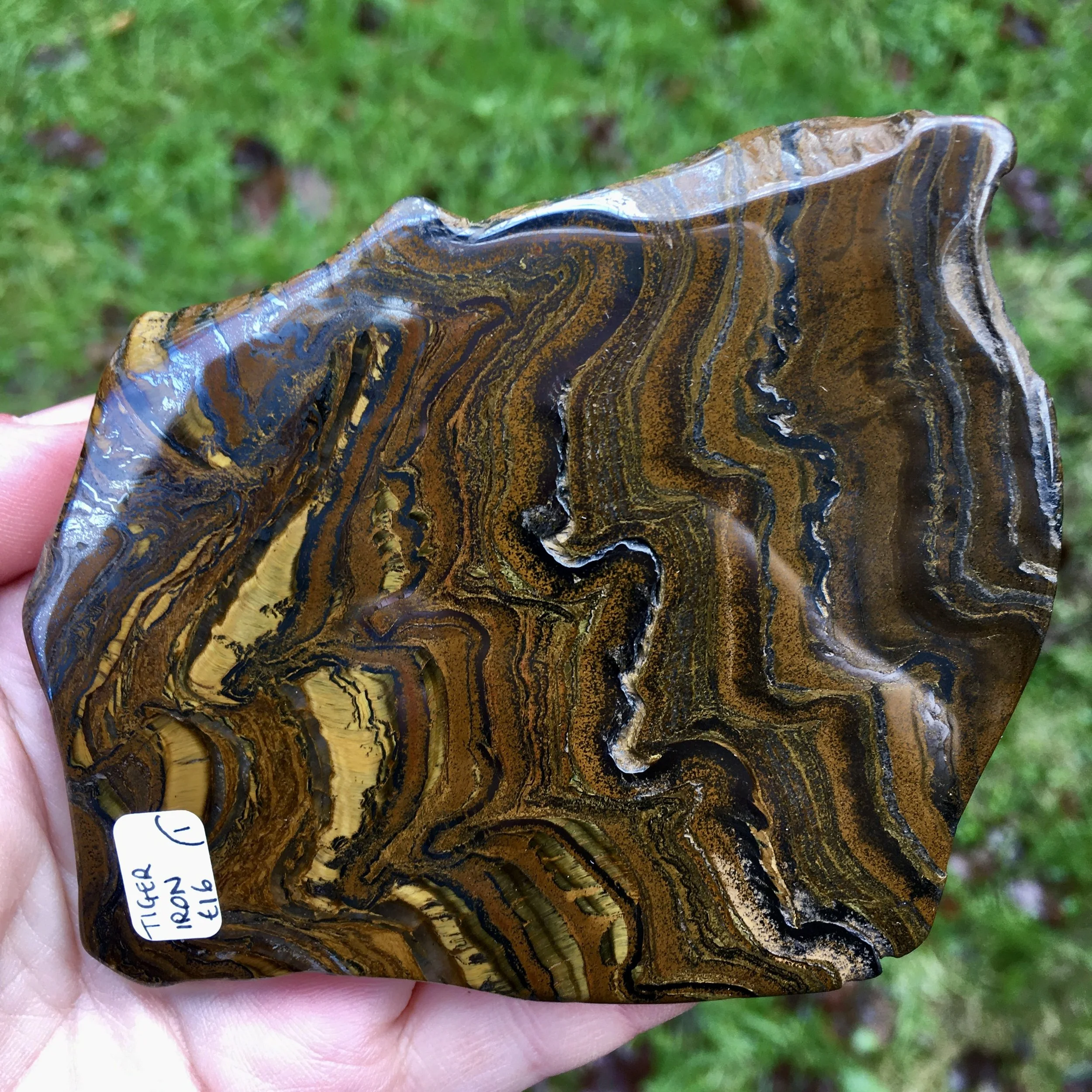 Tiger Iron slice 1e.jpeg