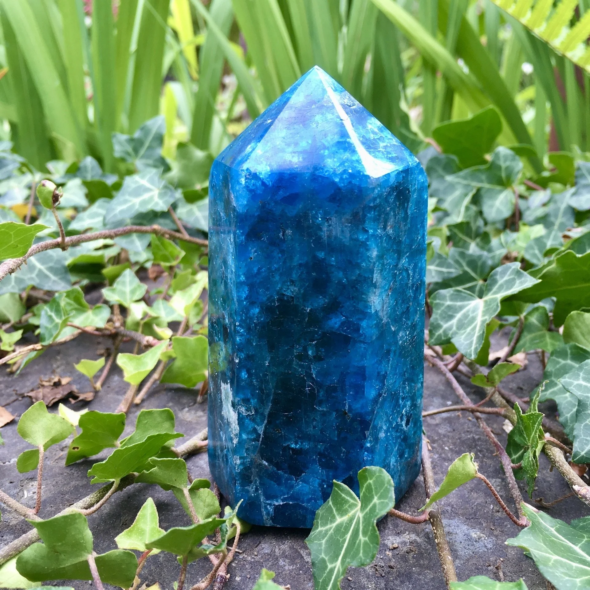 Apatite point a.jpeg