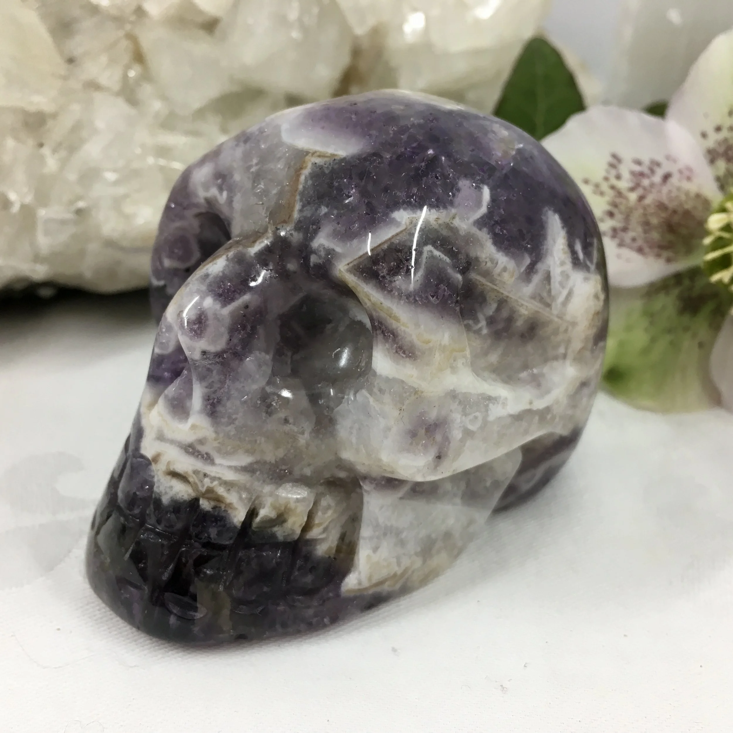 Chevron Amey skull 1a.jpeg