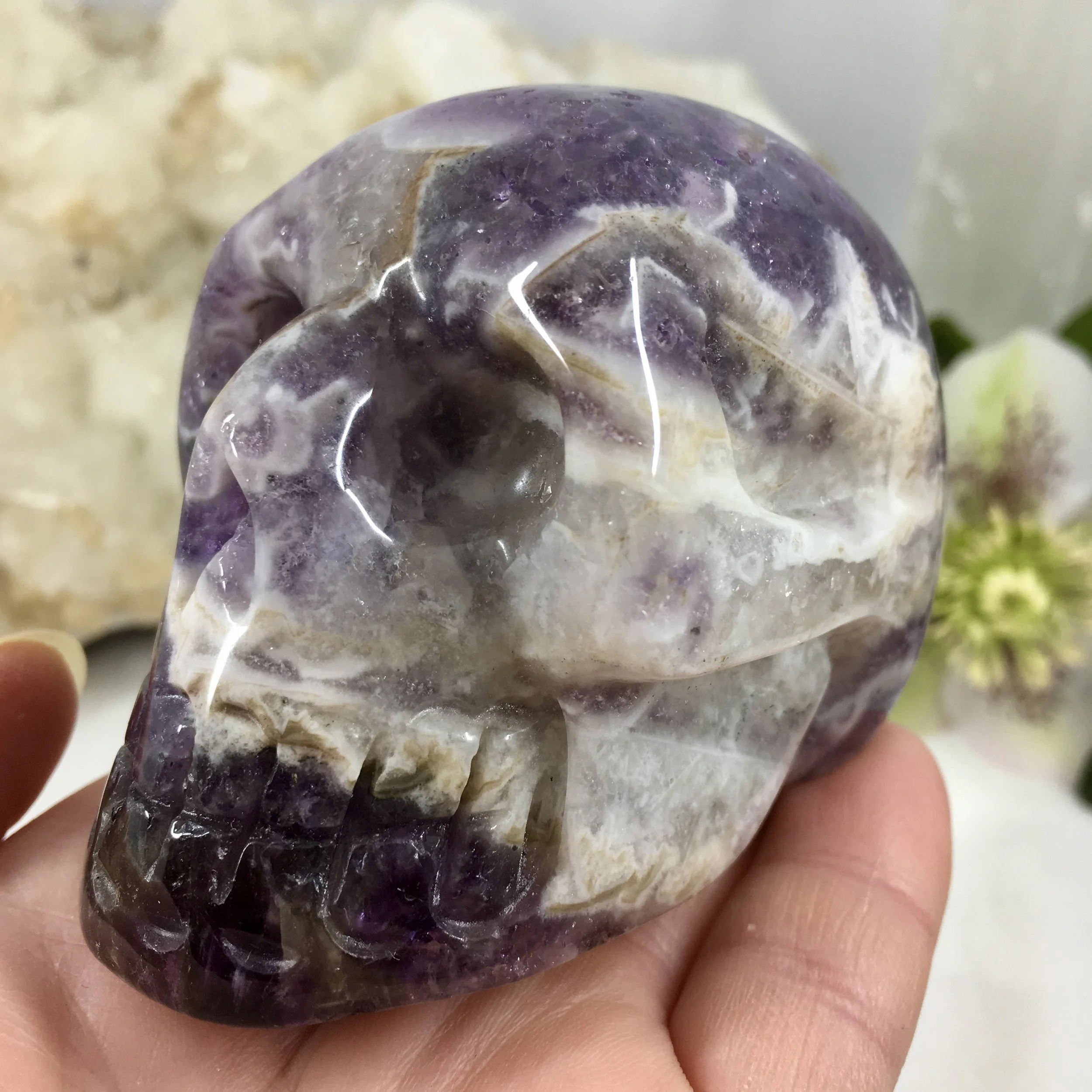 Chevron Amey skull 1e.jpeg