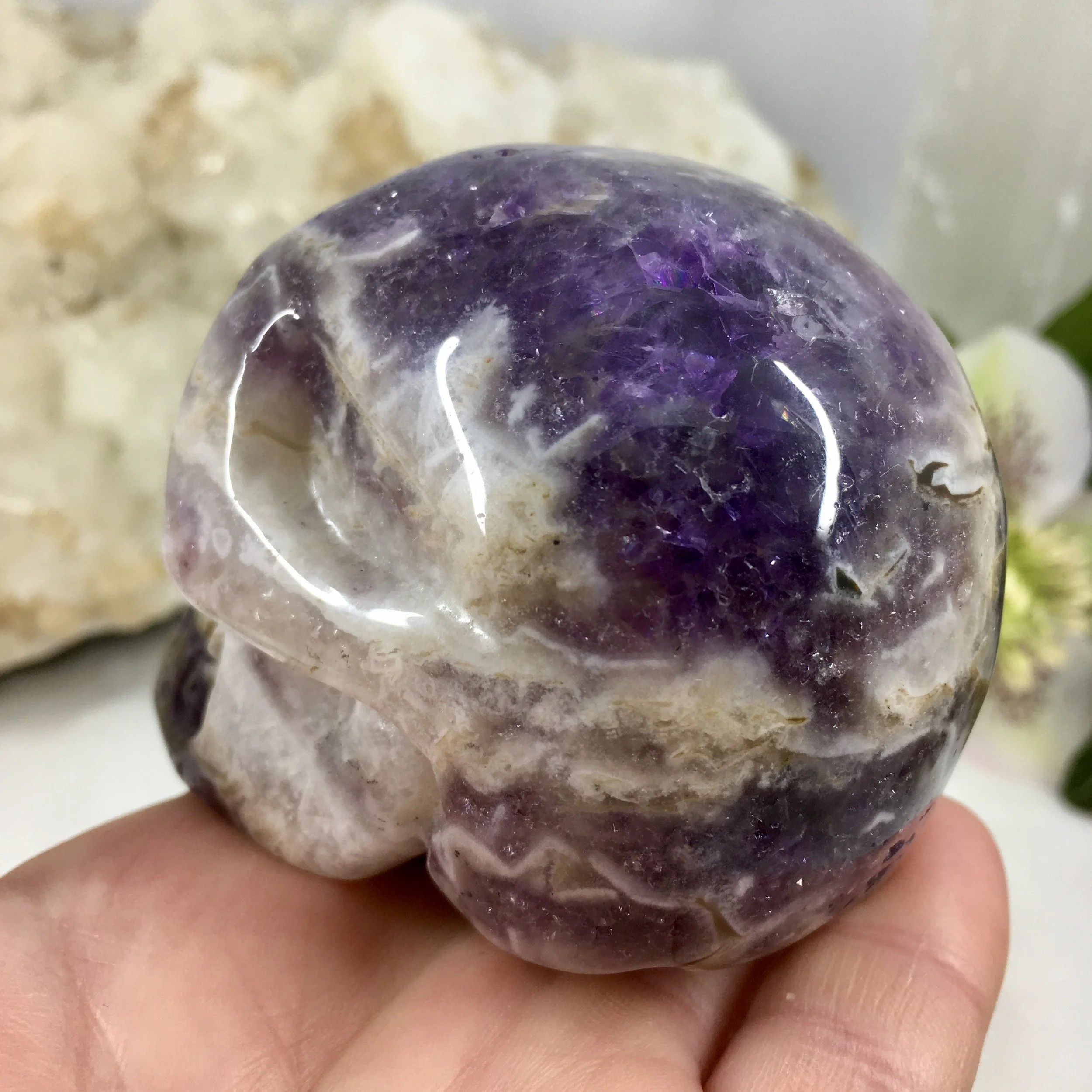 Chevron Amey skull 1f.jpeg