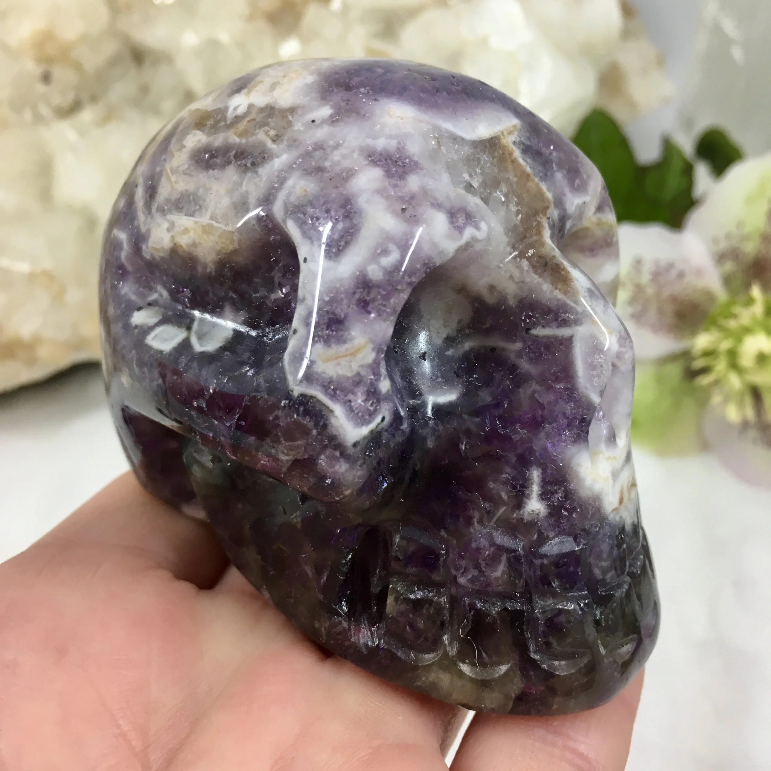 Chevron Amey skull 1c.jpeg