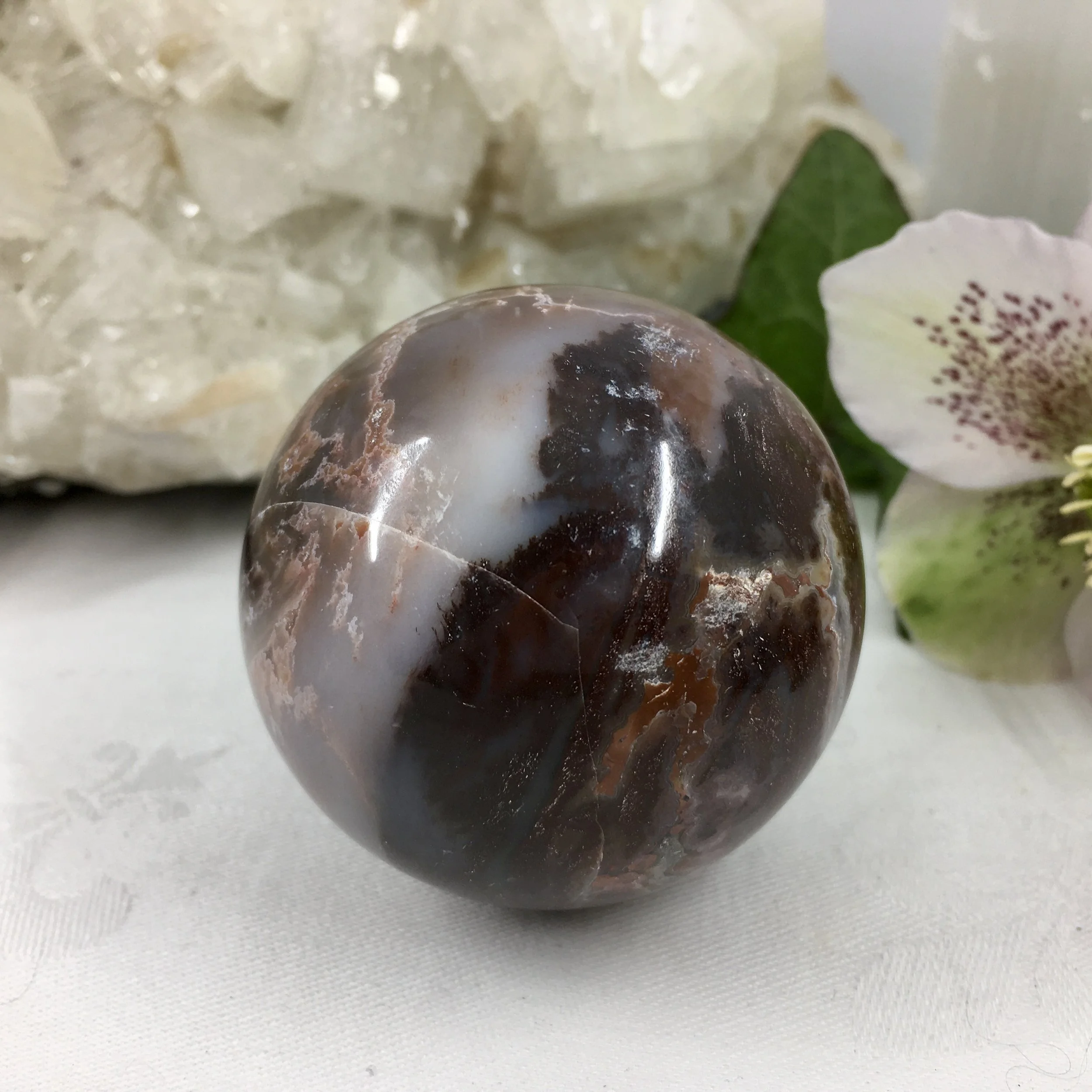 Petrified wood sphere 4b.jpeg