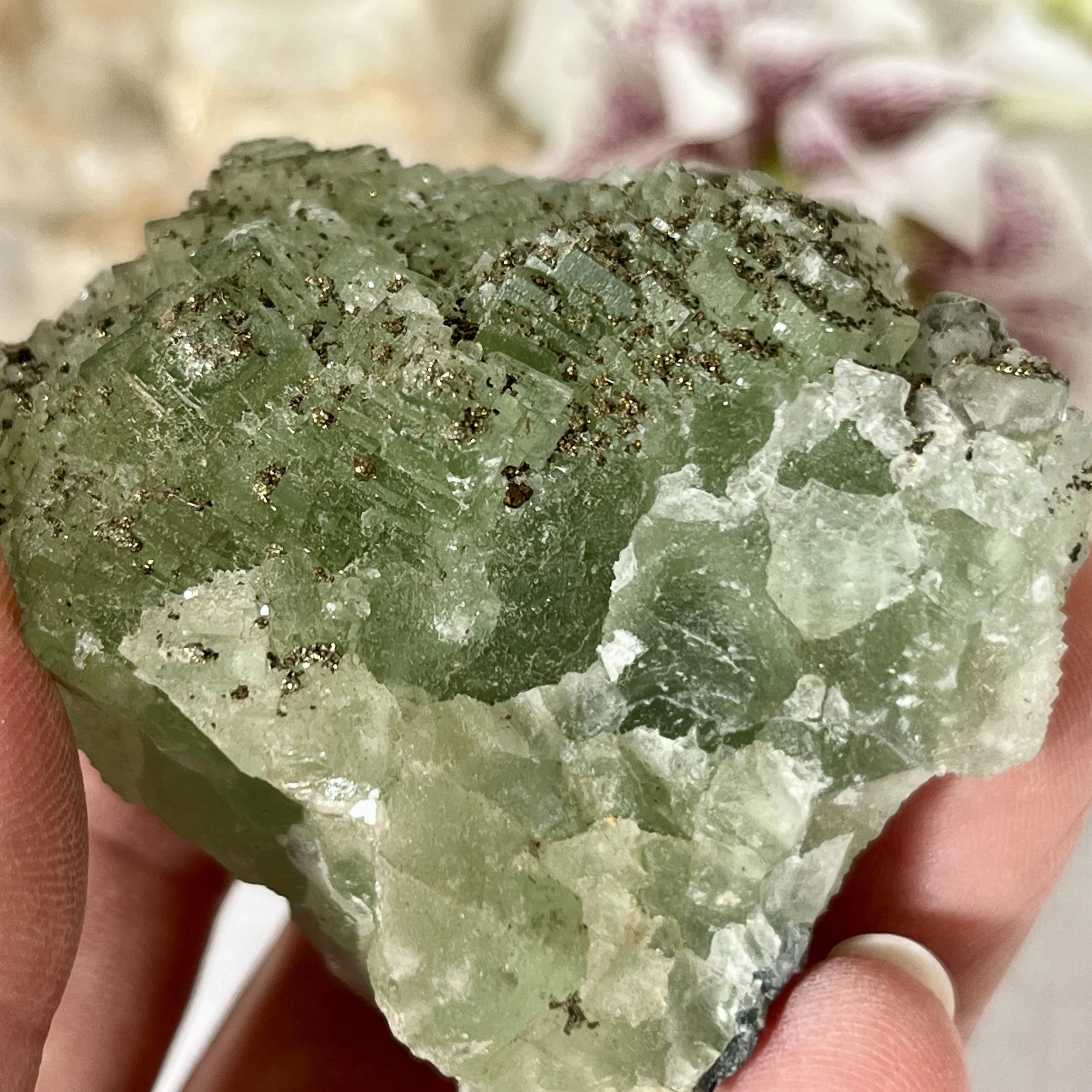 Green fluorite and pyrite h.jpeg