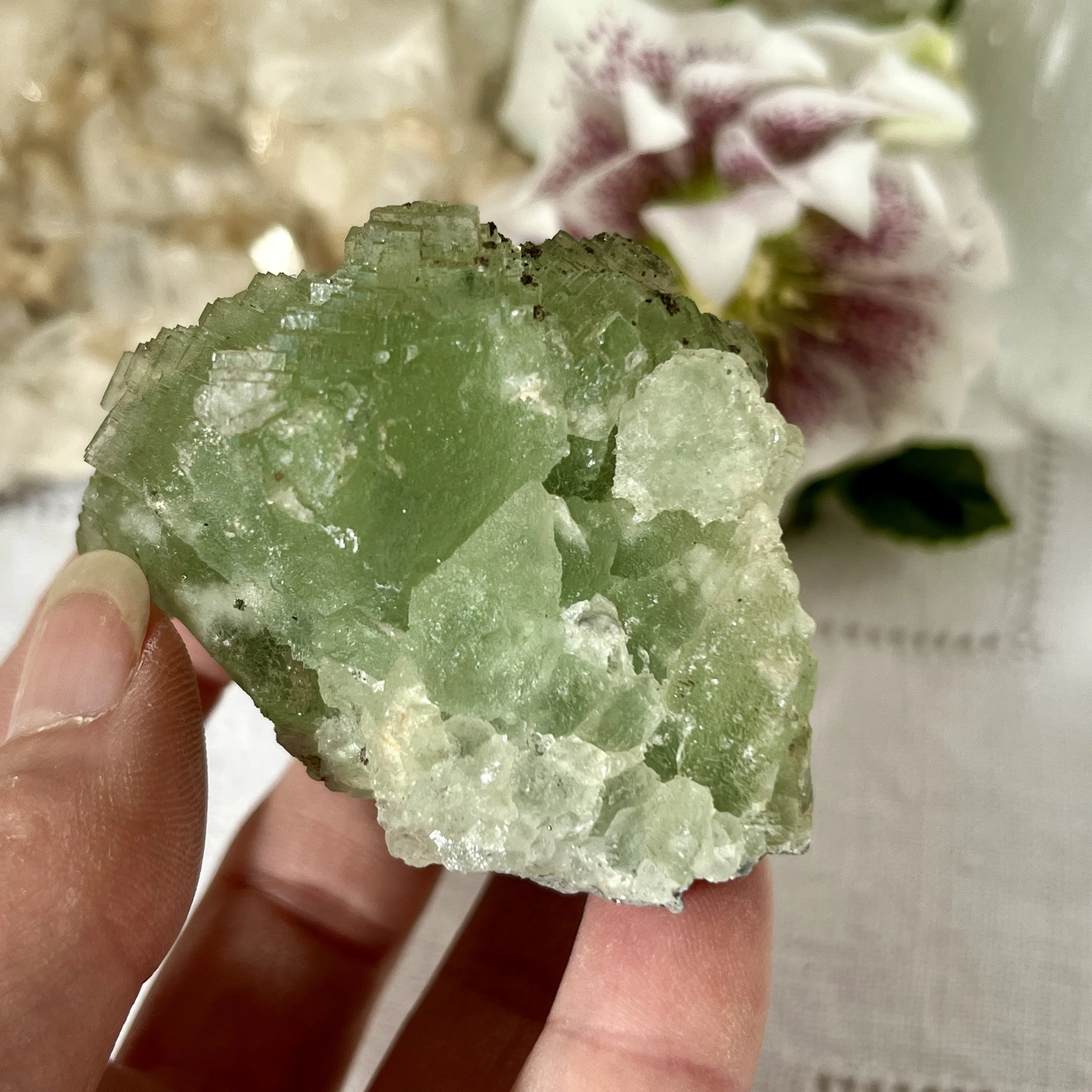 Green fluorite and pyrite g.jpeg