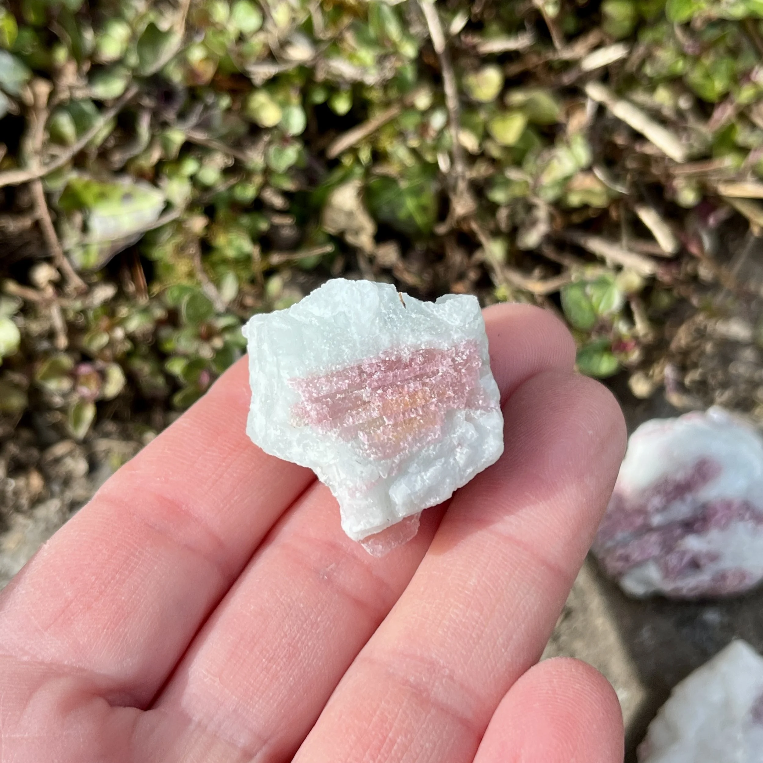 Pink tourmaline in matrix small b.jpeg