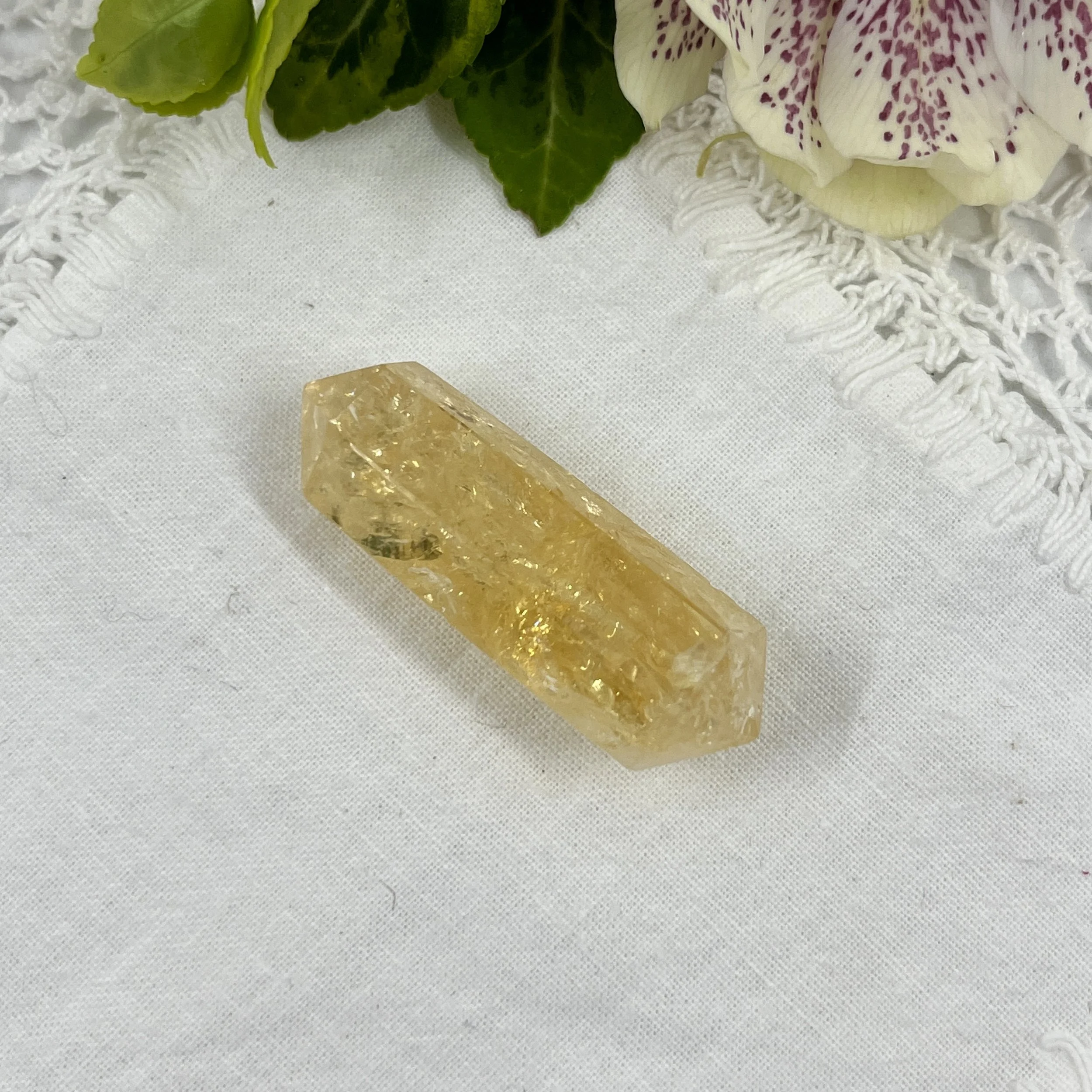 Citrine DT 1a.jpeg