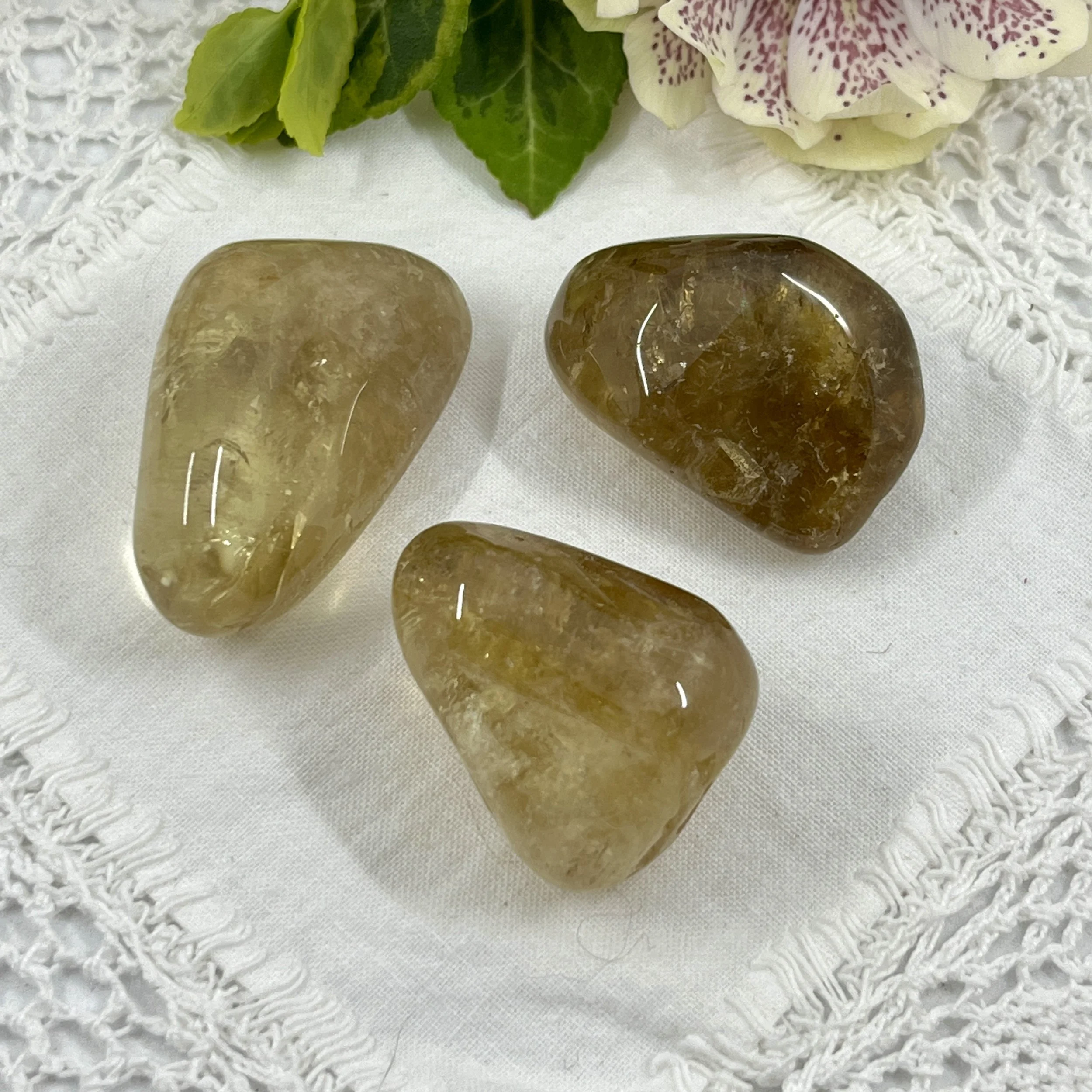 African Citrine TS £5a.jpeg