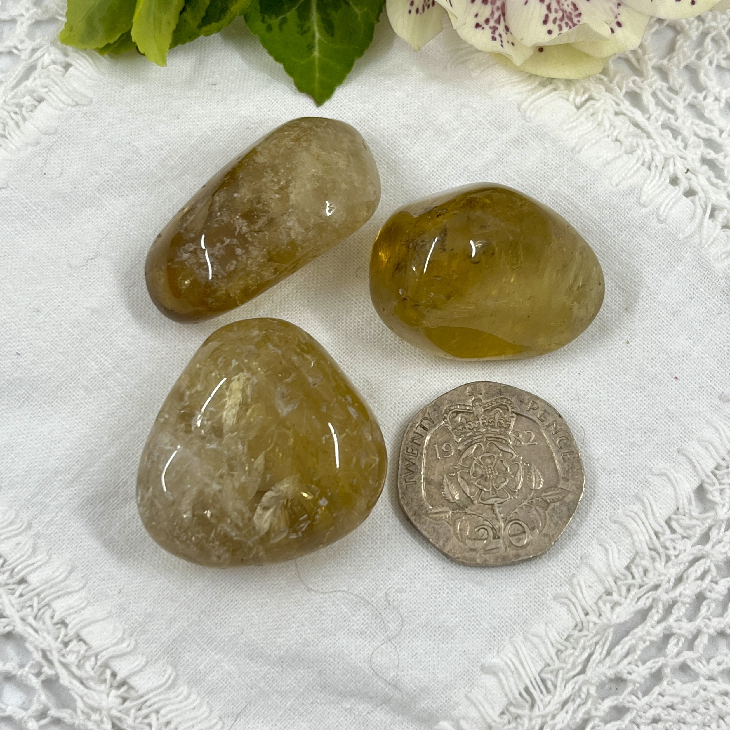 African Citrine TS £3b.jpeg