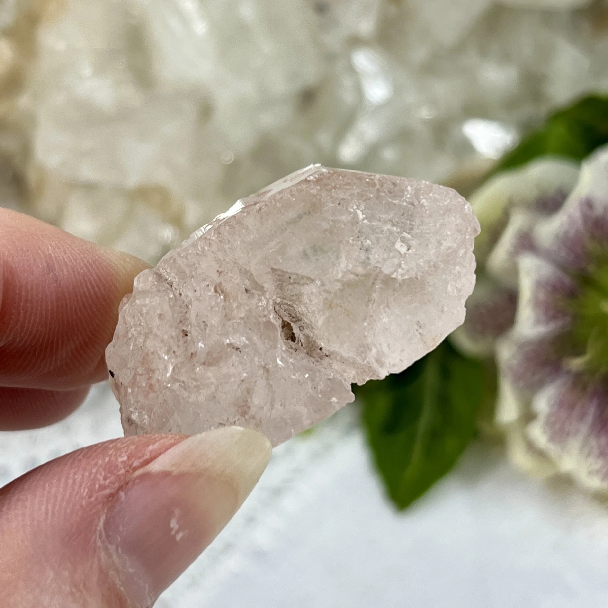 Nirvana Quartz 3c.jpeg