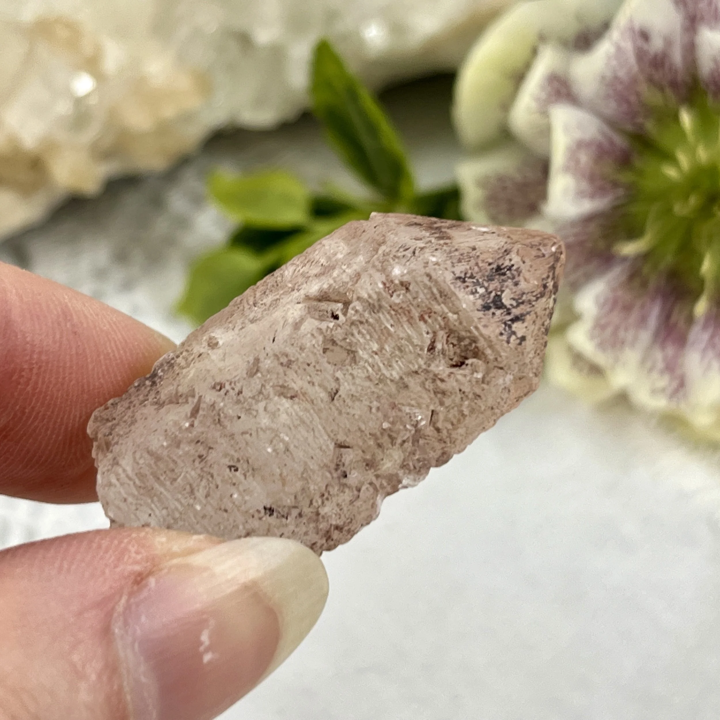 Nirvana Quartz 4c.jpeg