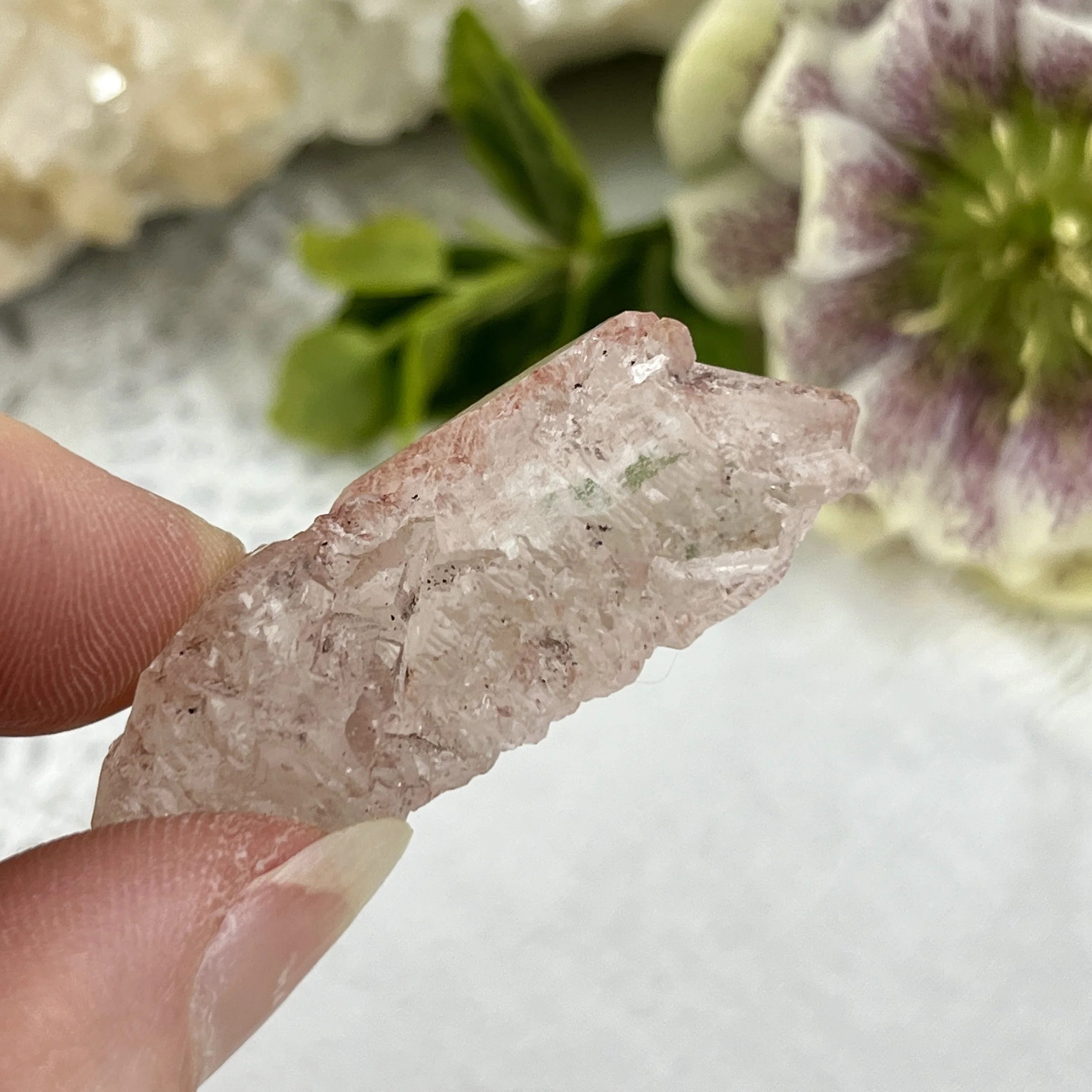 Nirvana Quartz 5c.jpeg