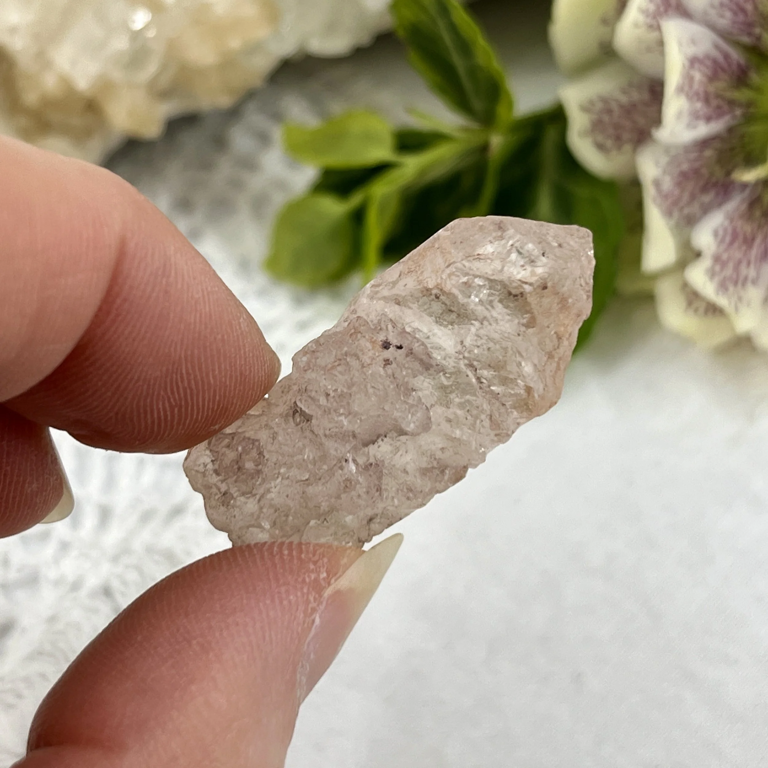 Nirvana Quartz 6c.jpeg