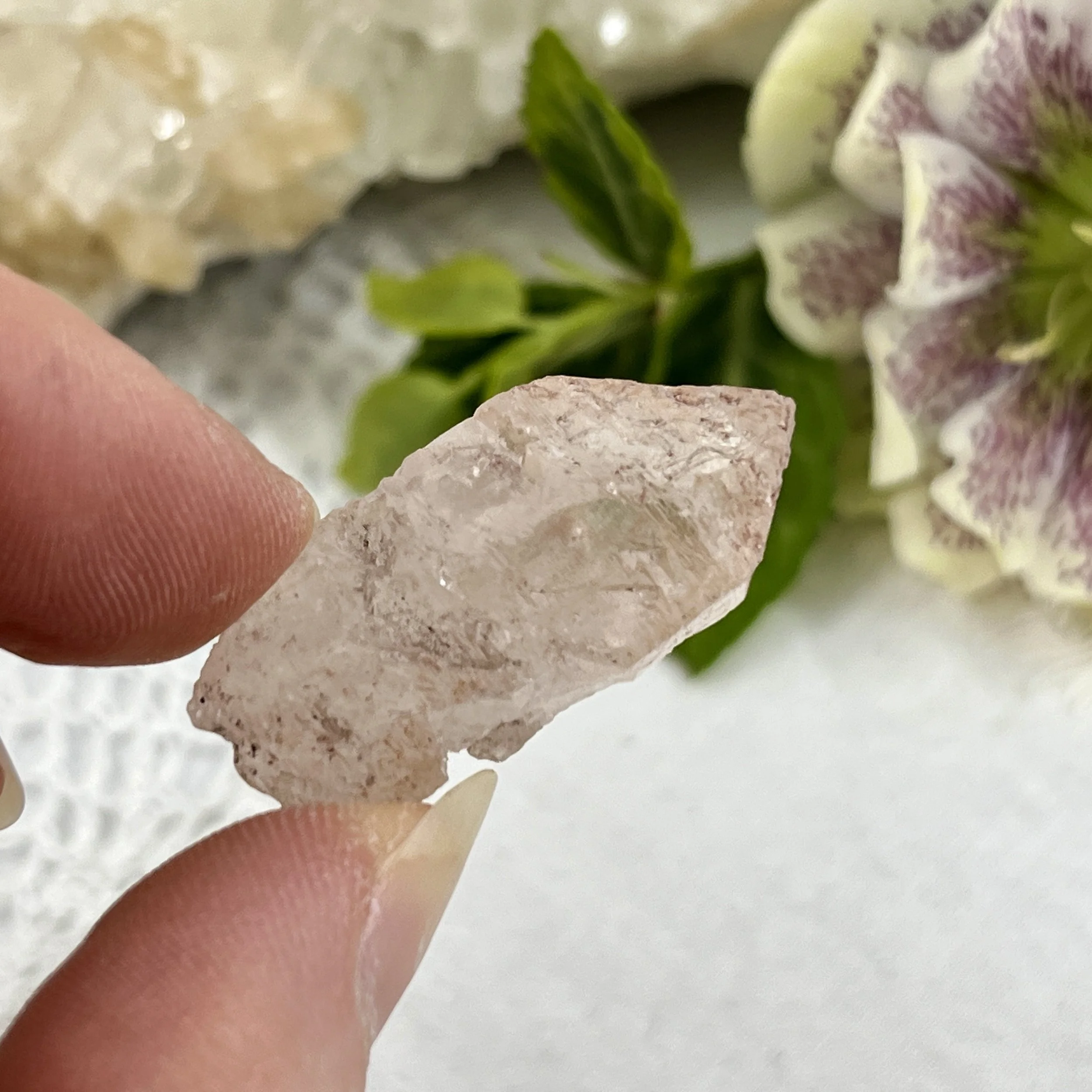 Nirvana Quartz 6d.jpeg