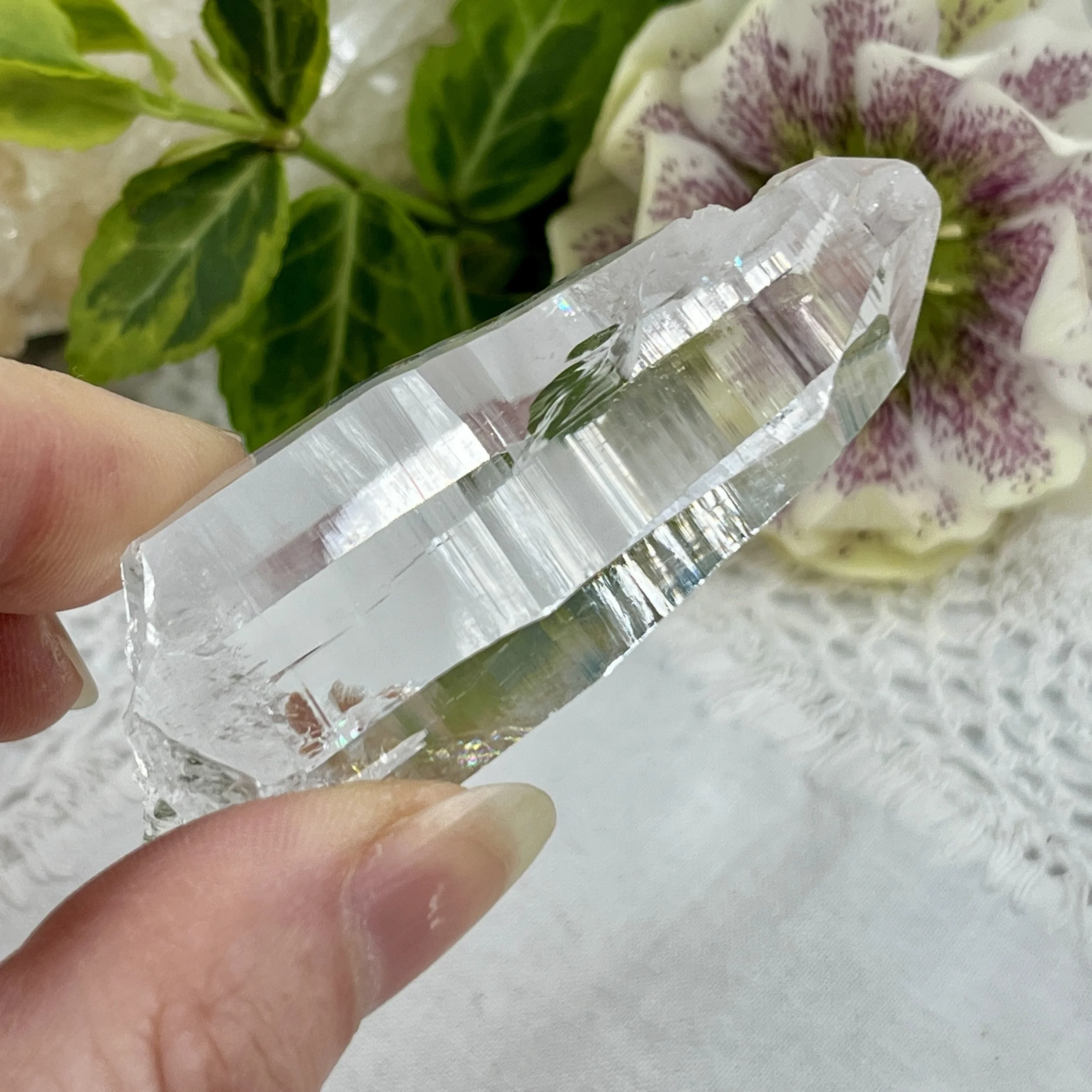 Blade of light Lemurian f.jpeg