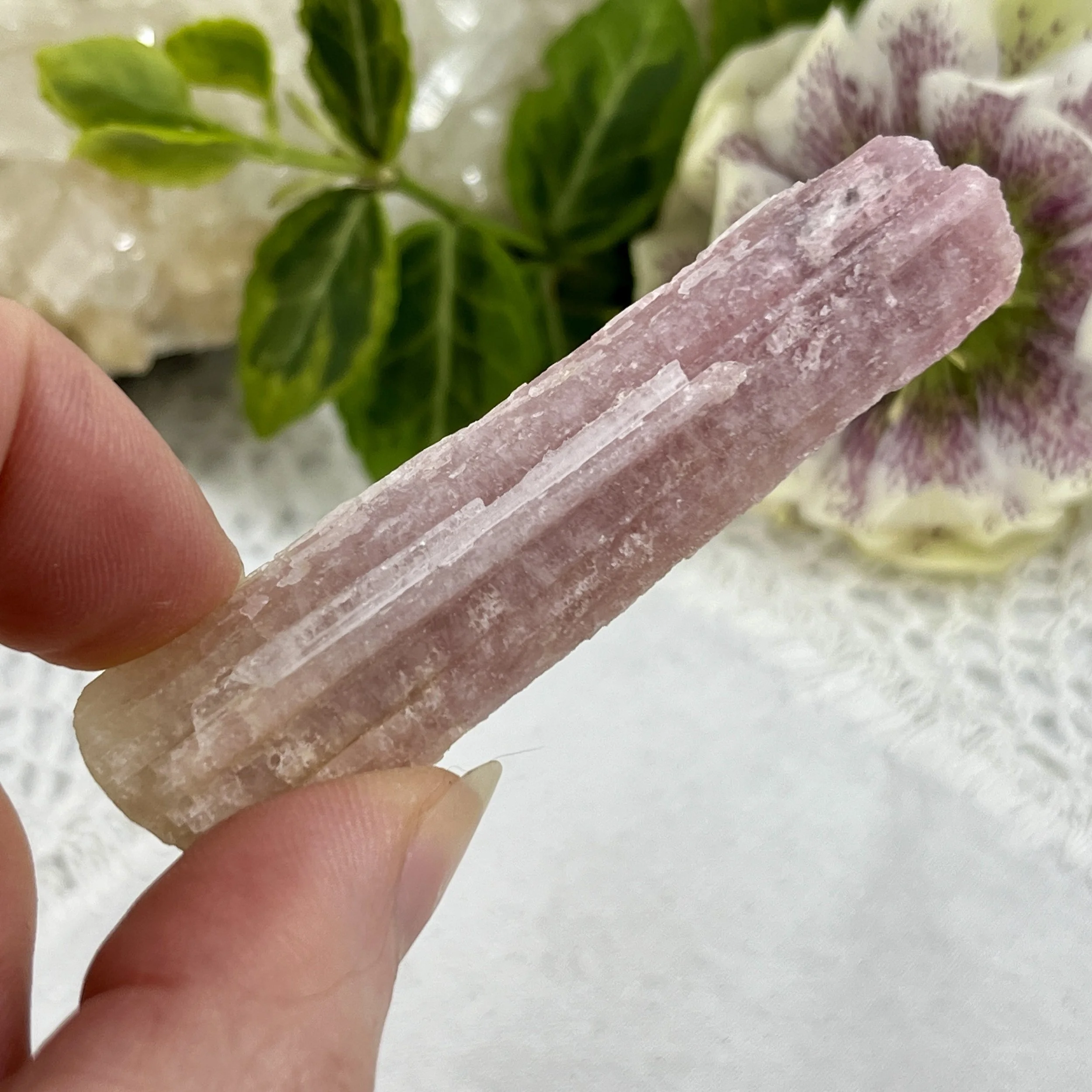 Bi-coloured tourmaline 2.jpeg