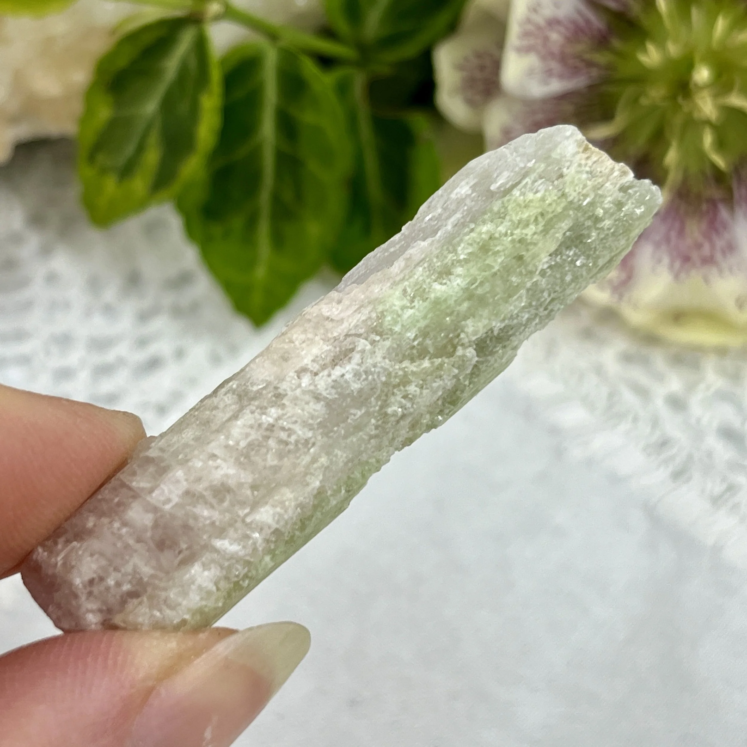 Bi-coloured tourmaline 7.jpeg