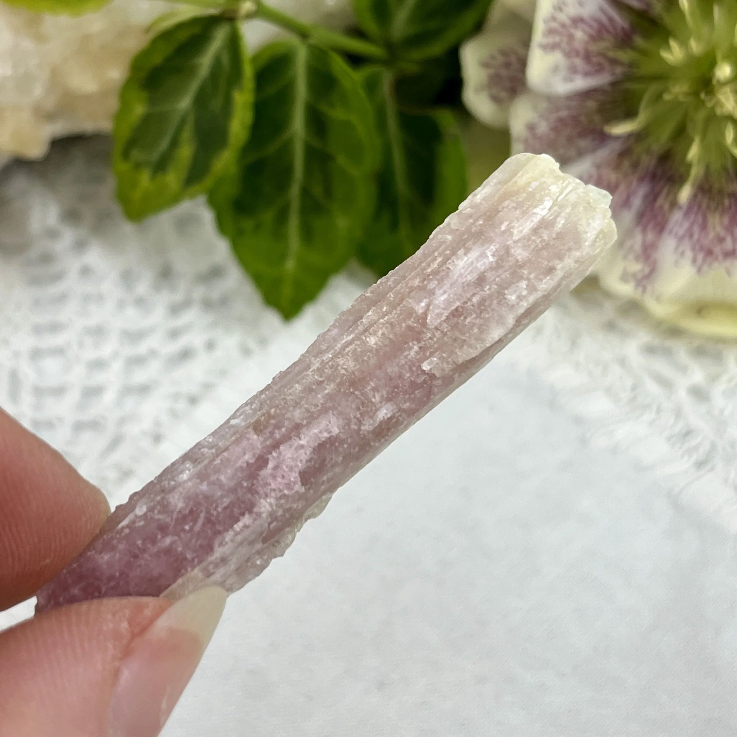 Bi-coloured tourmaline 8.jpeg