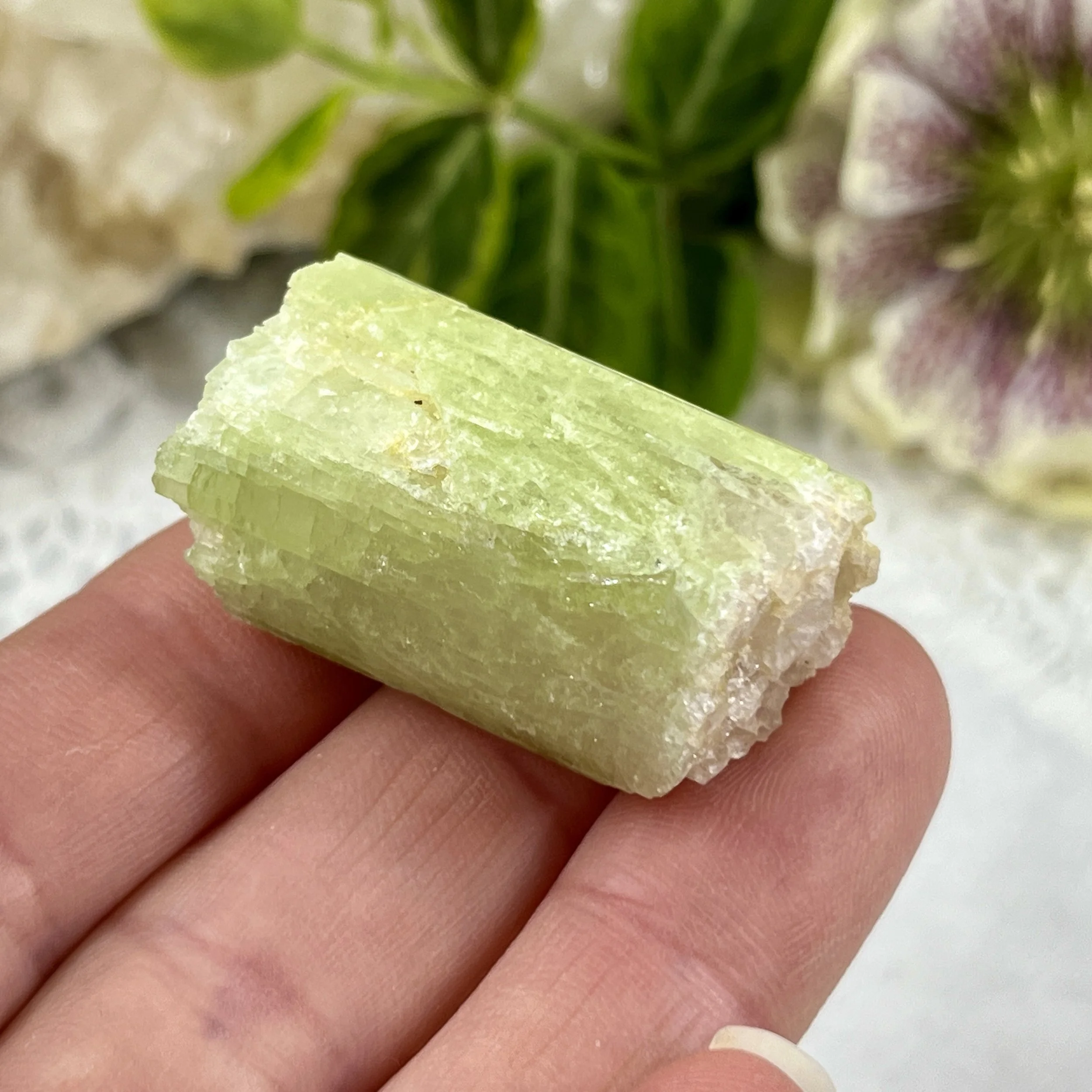 Bi-coloured tourmaline 16.jpeg