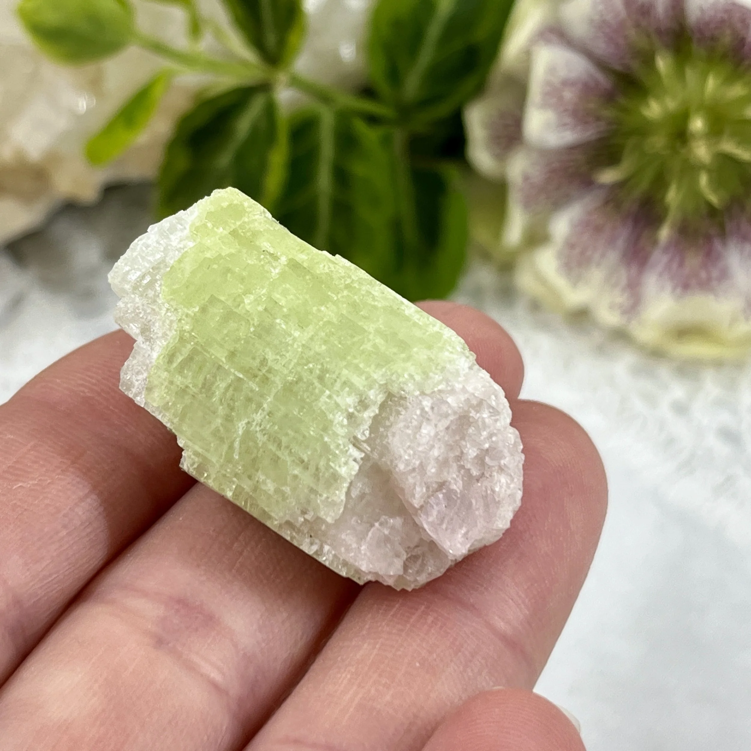 Bi-coloured tourmaline 17.jpeg