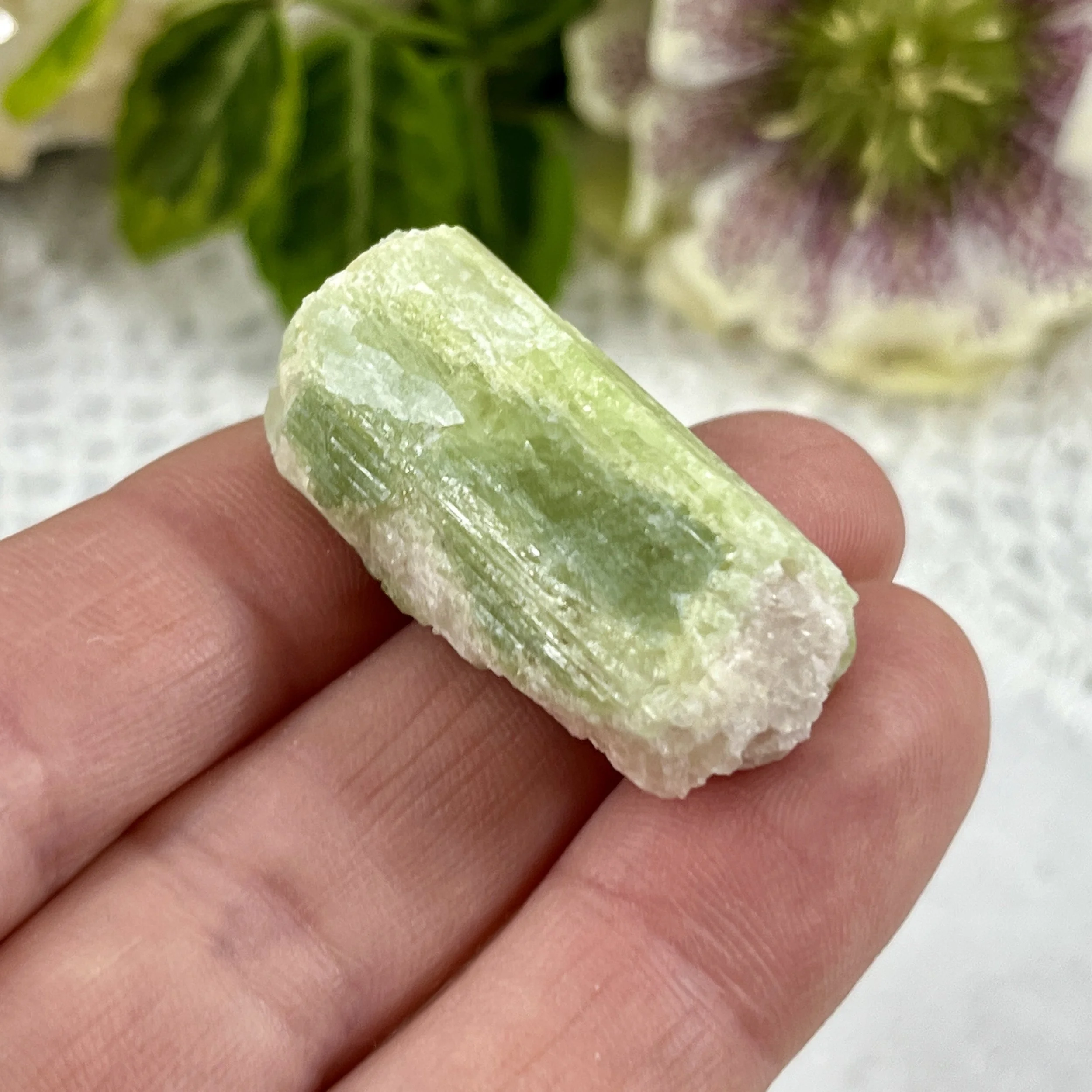 Bi-coloured tourmaline 18.jpeg