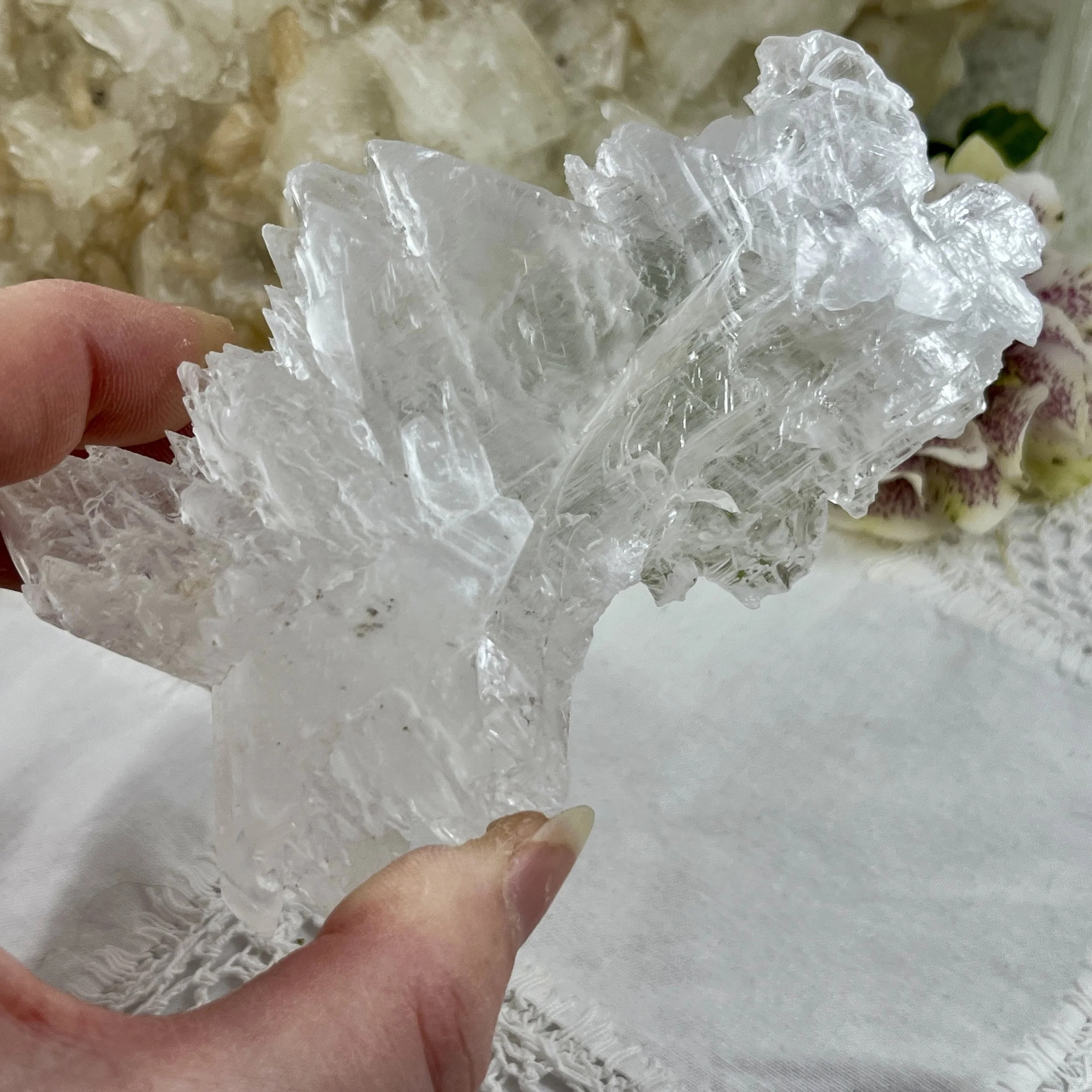 Selenite fishtail d.jpeg