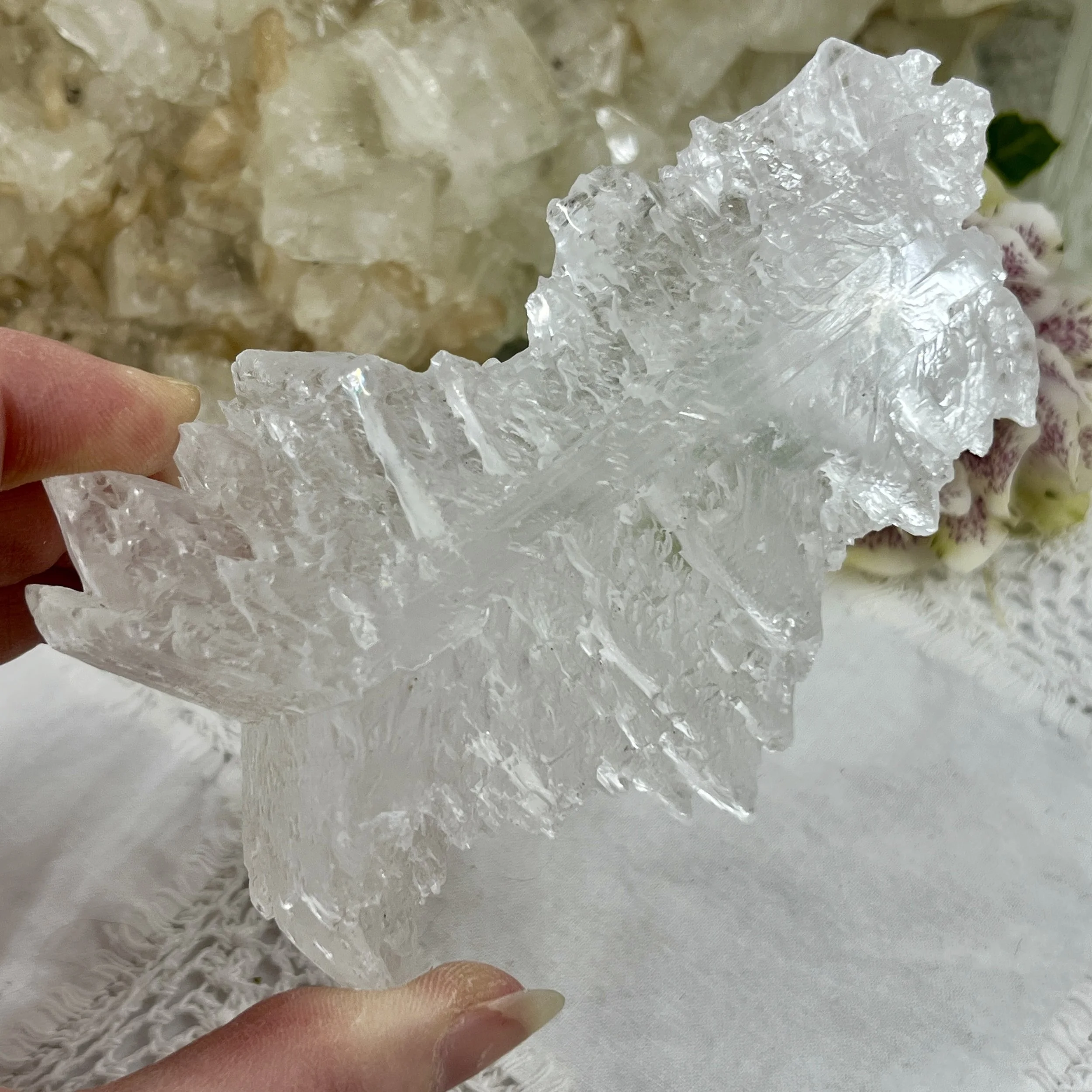 Selenite fishtail c.jpeg