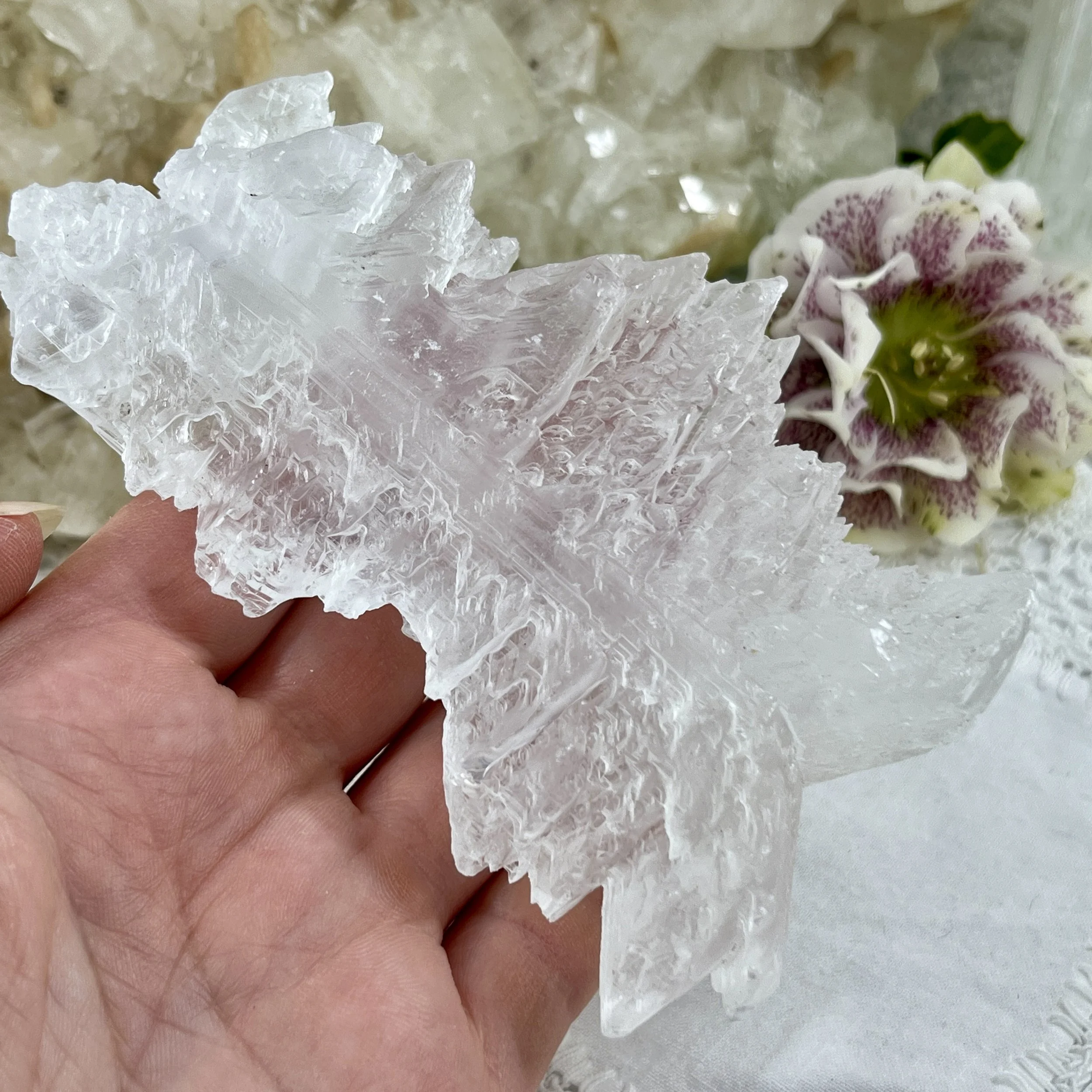 Selenite fishtail b.jpeg