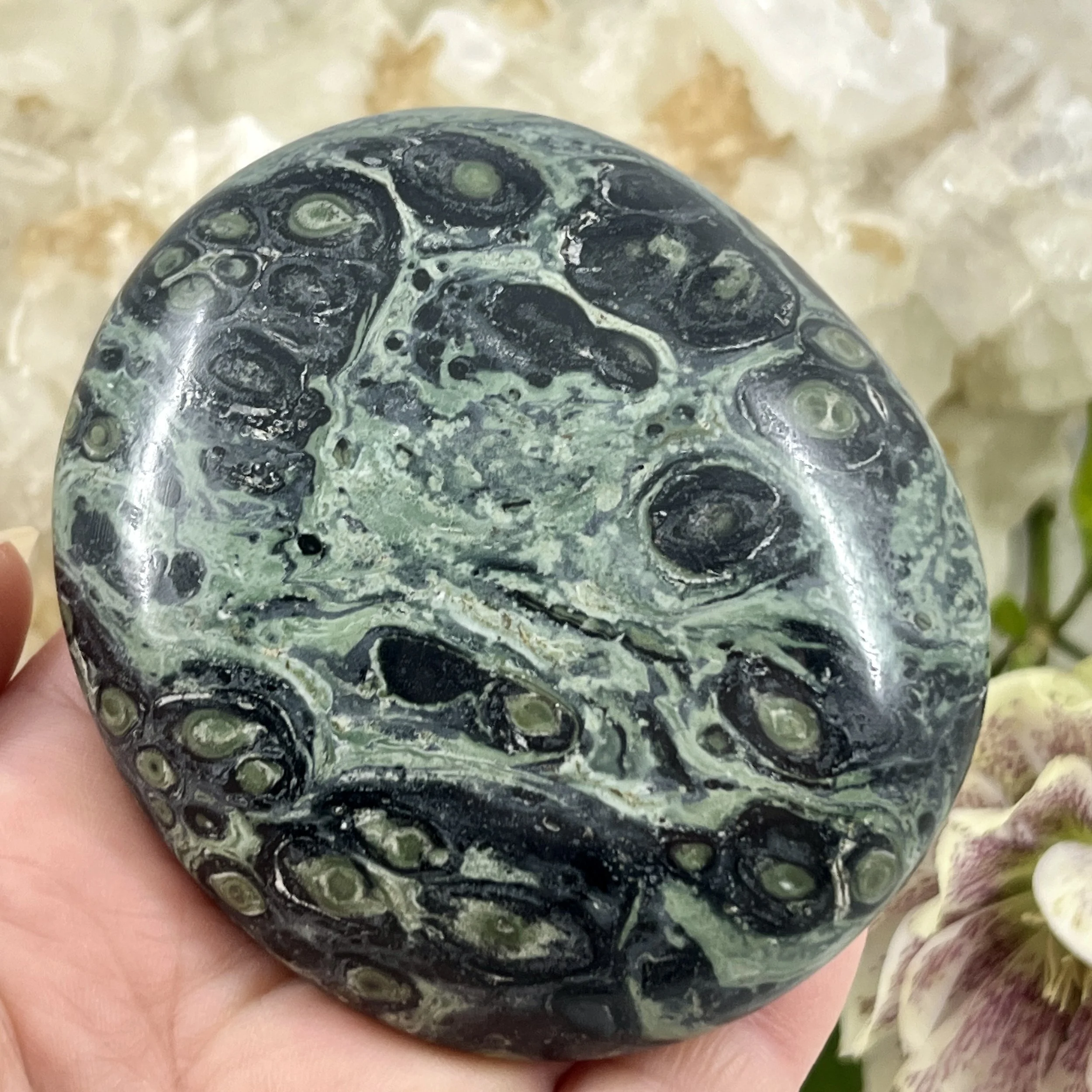 Kambaba pebble 5d.jpeg