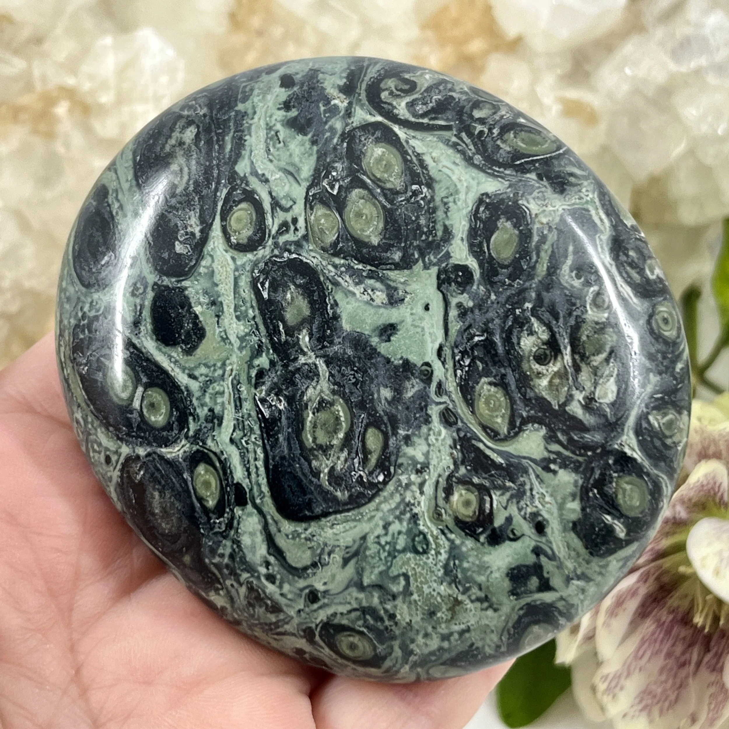 Kambaba pebble 5c.jpeg