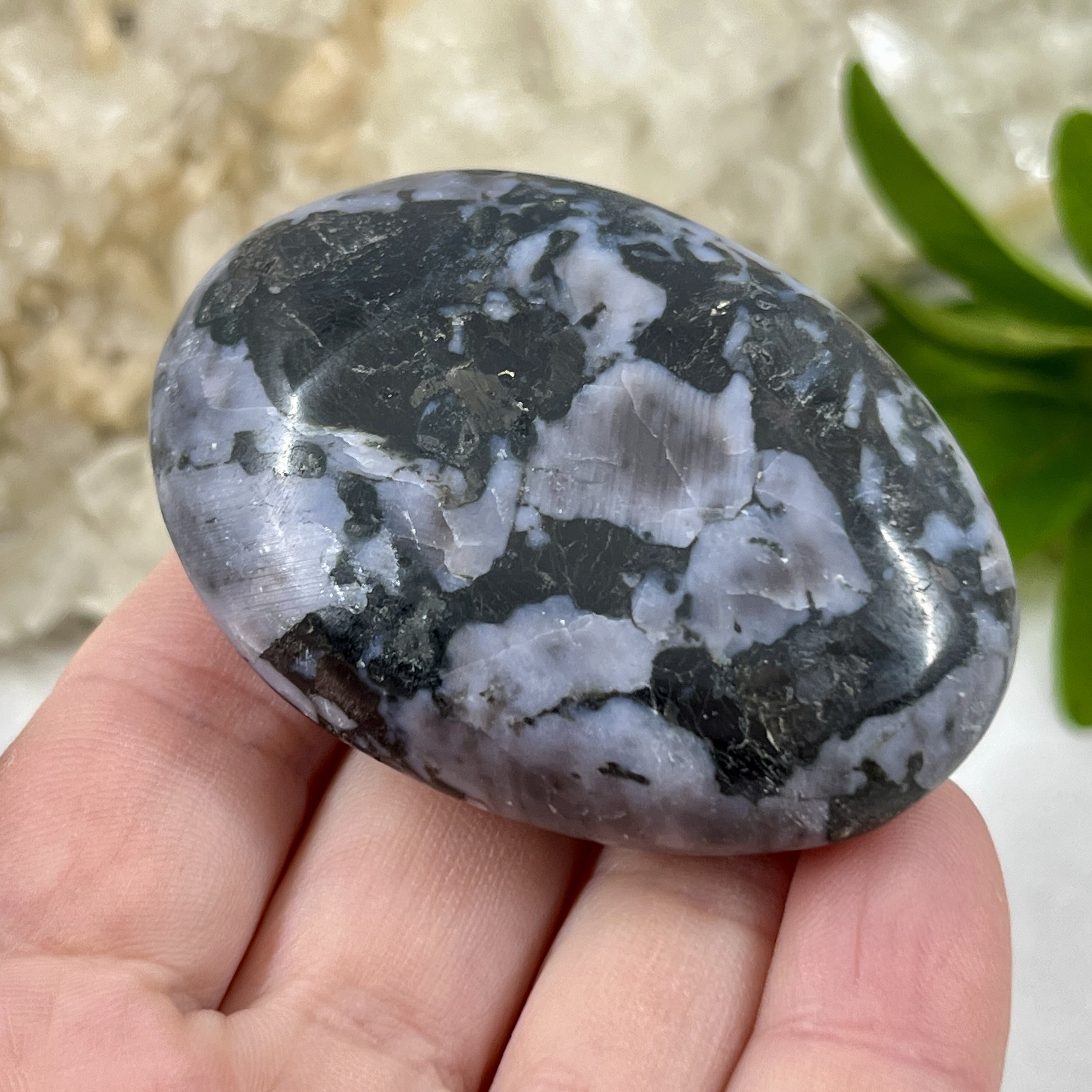 Gabbro pebble 1c.jpeg