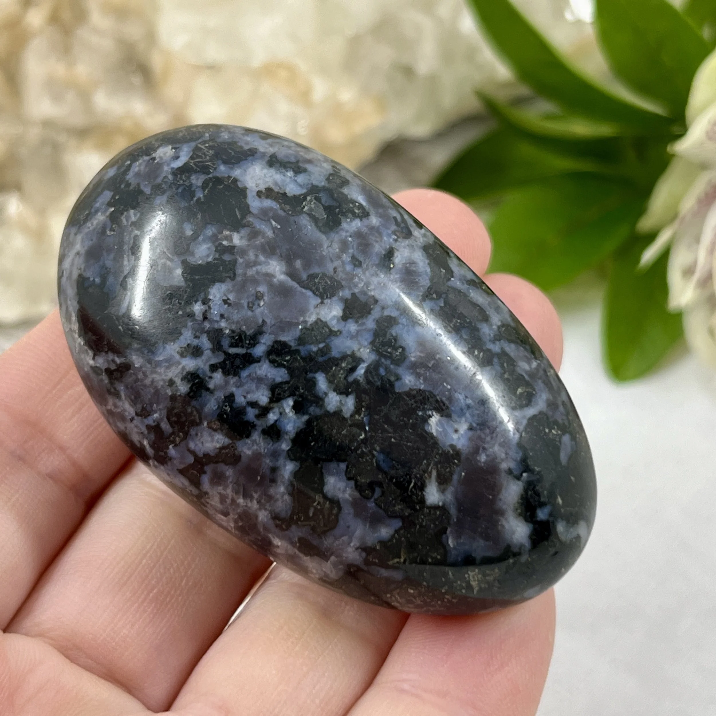 Gabbro pebble 7d.jpeg