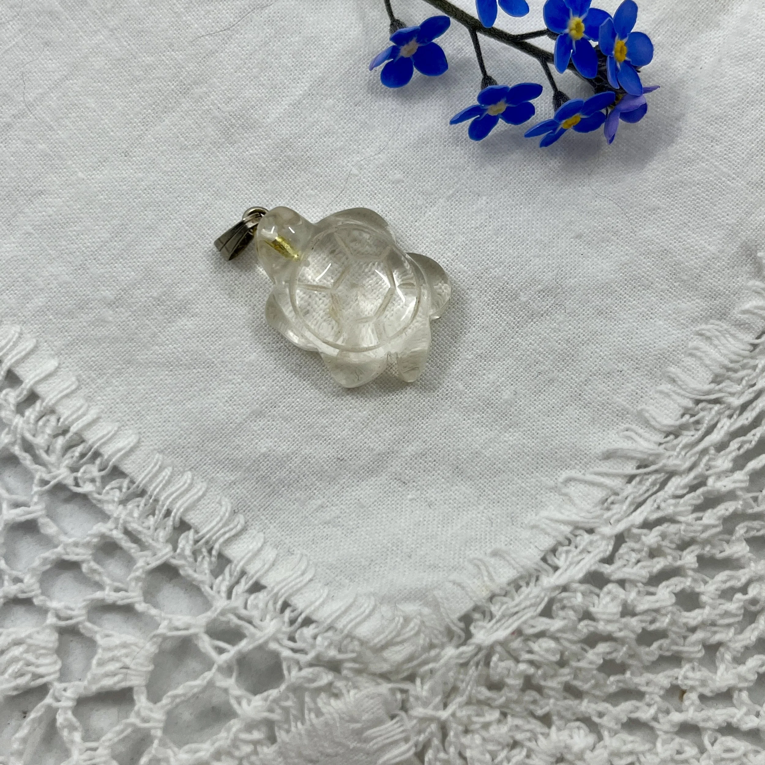 Quartz turtle a.jpeg