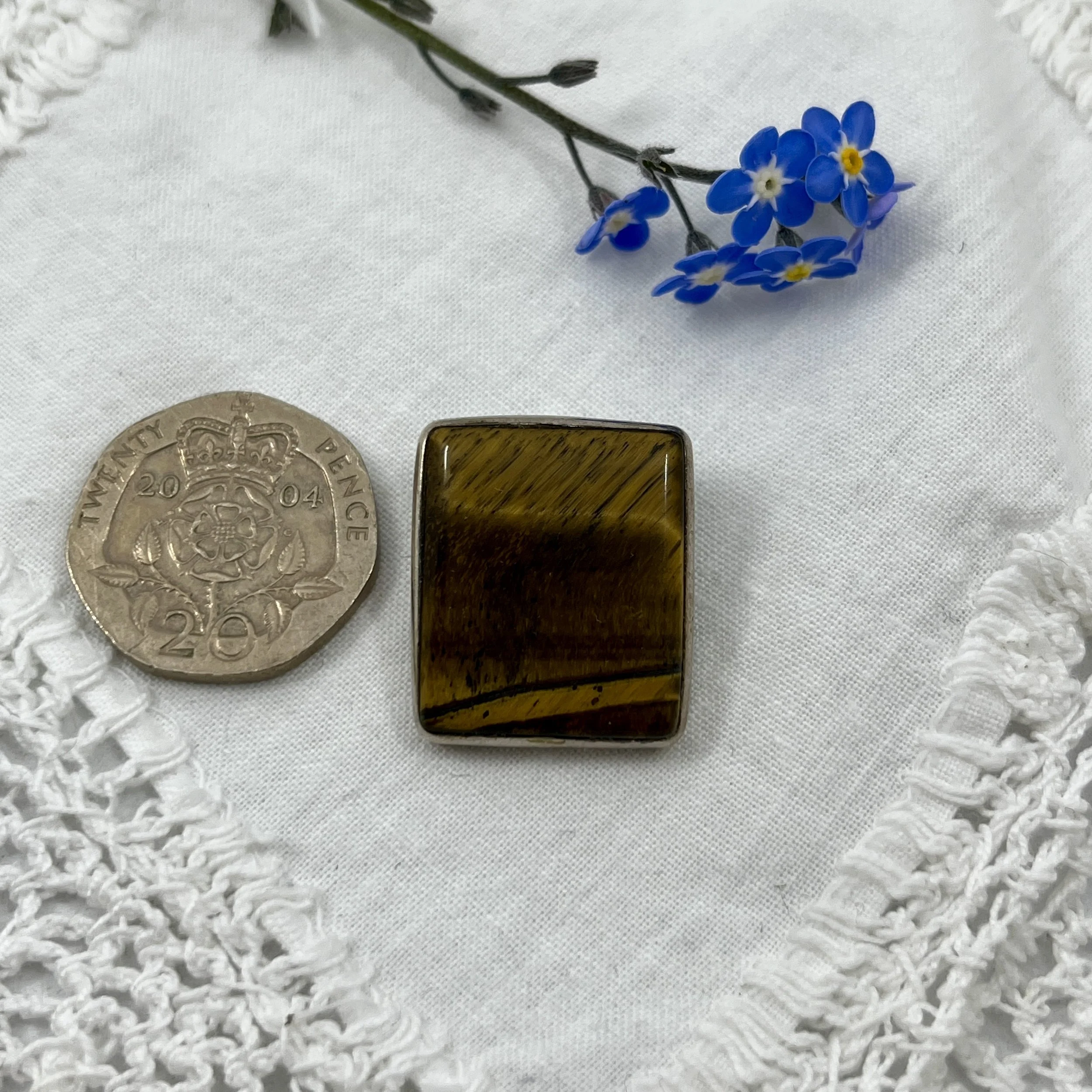 Tigers Eye square b.jpeg